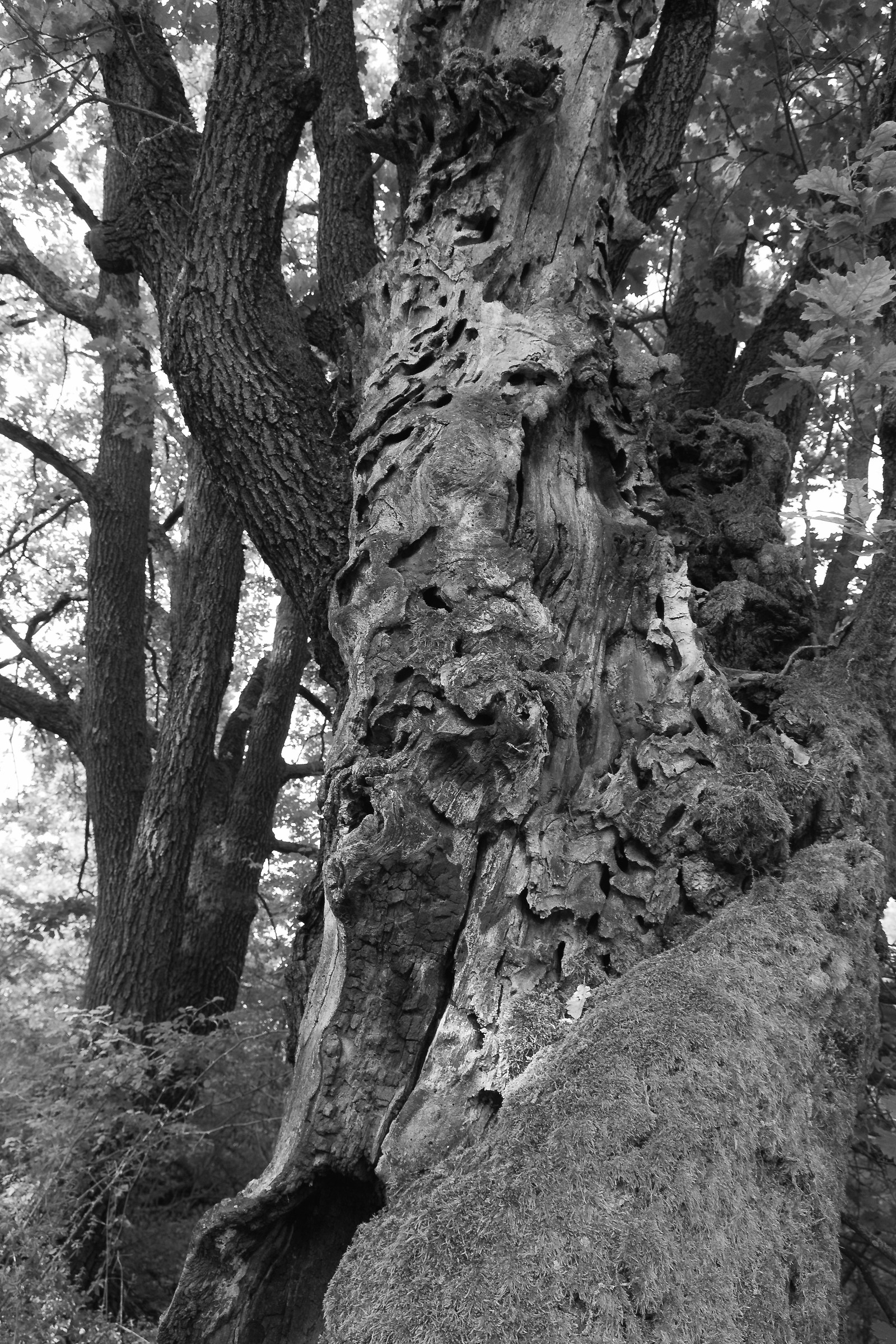 Resti in un abbraccio