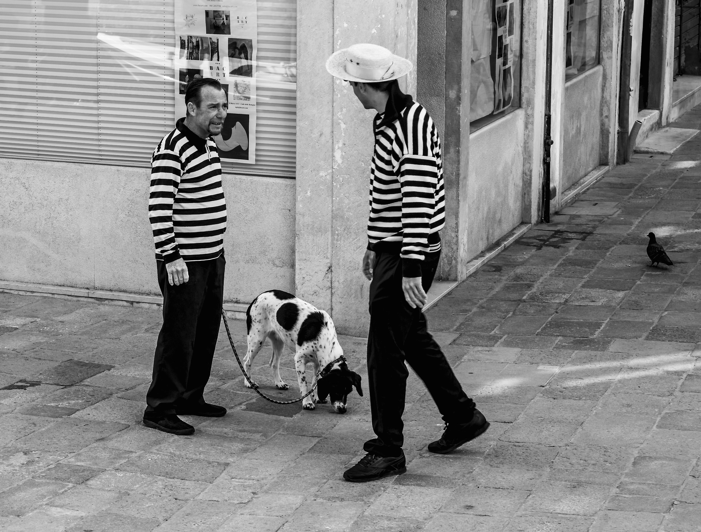 Better striped or polka dots?