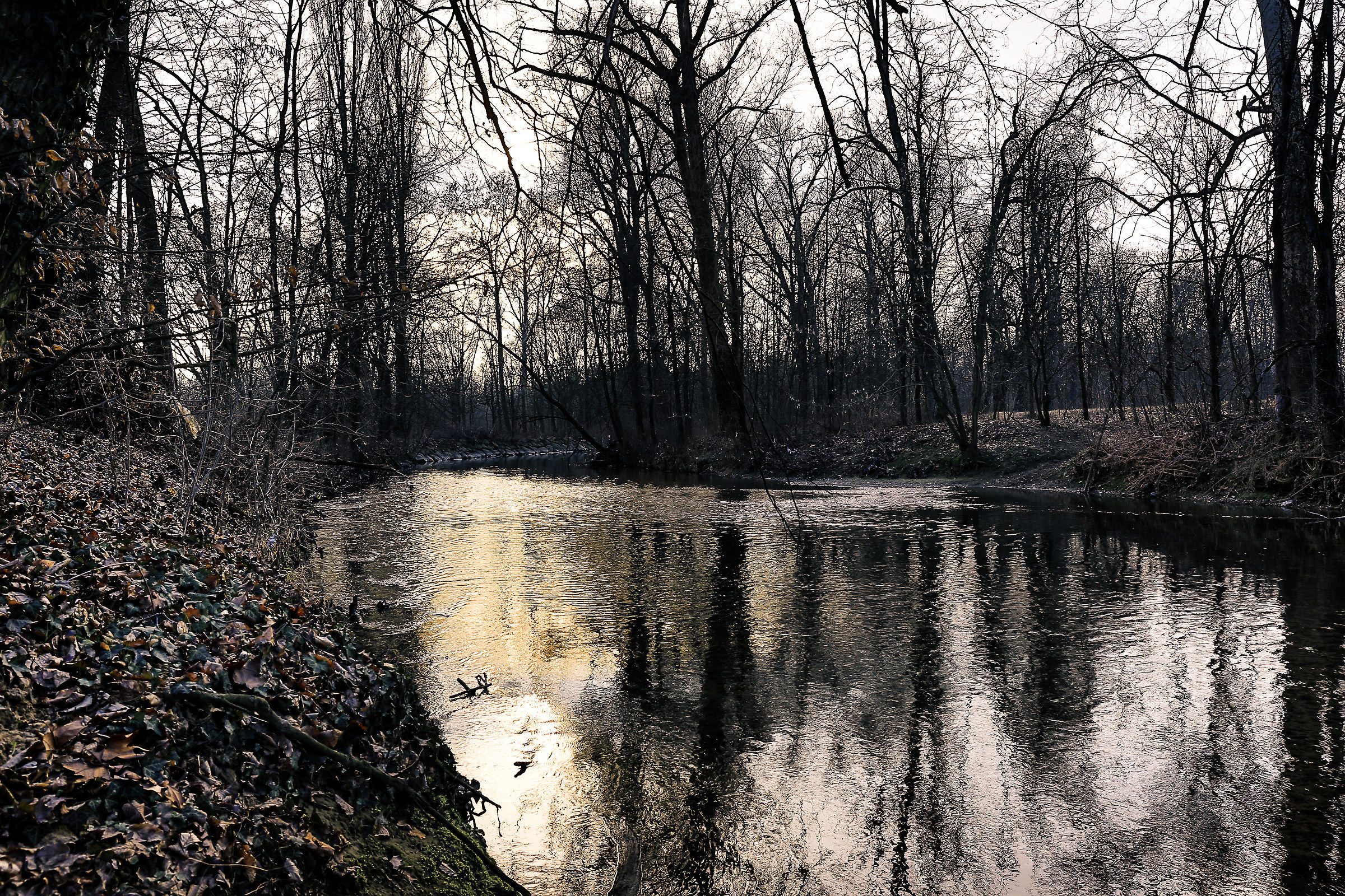 Lambro parco reale di Monza