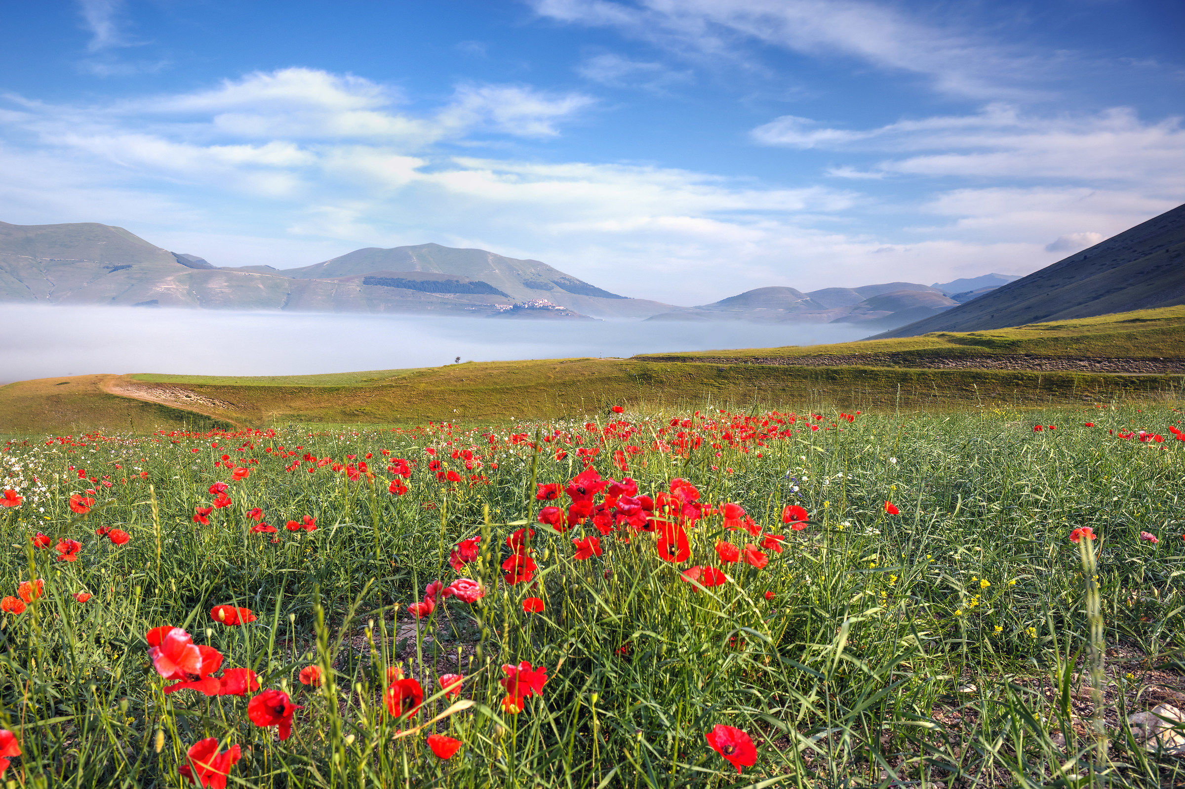 Castelluccio 2016