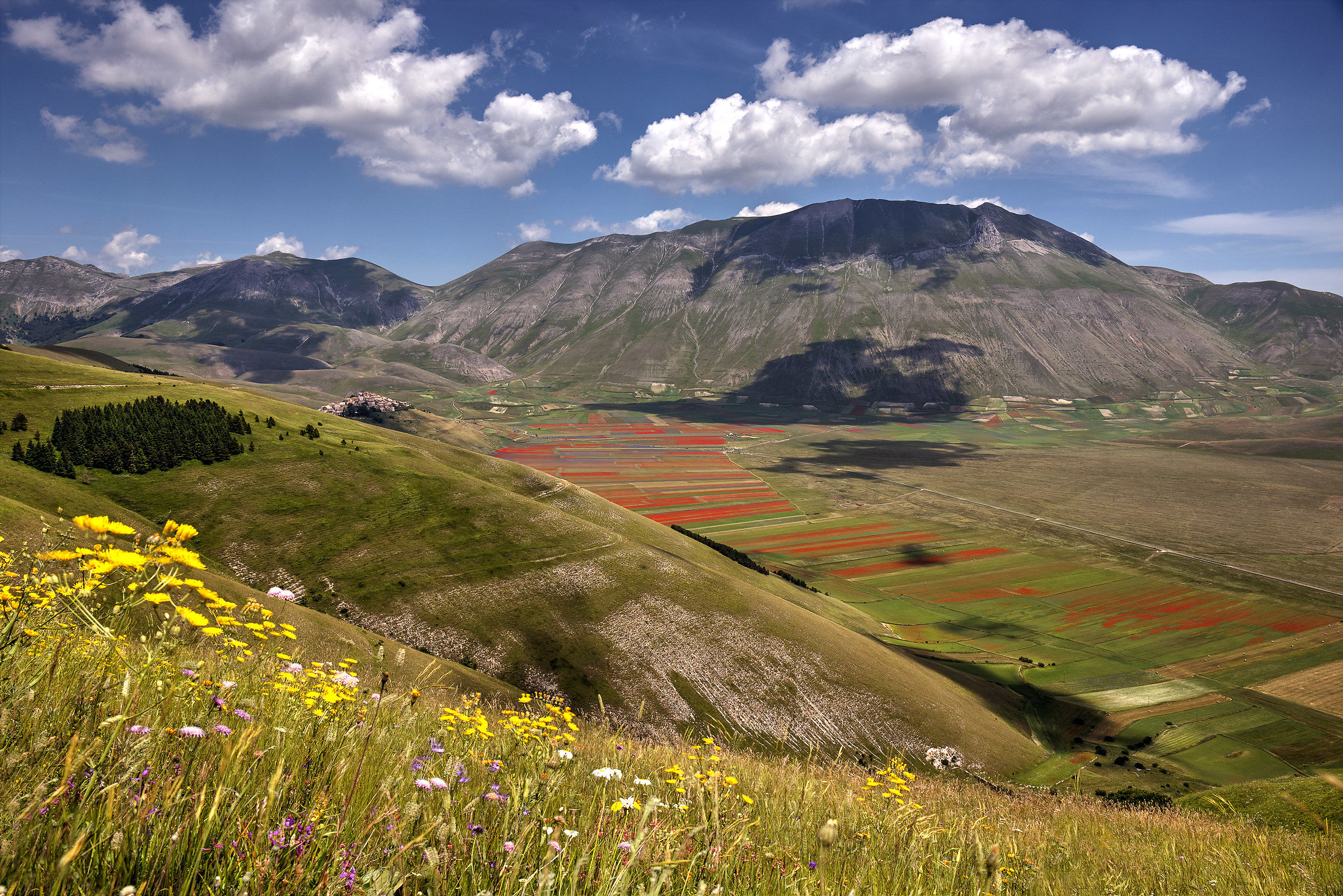 Castelluccio 2016