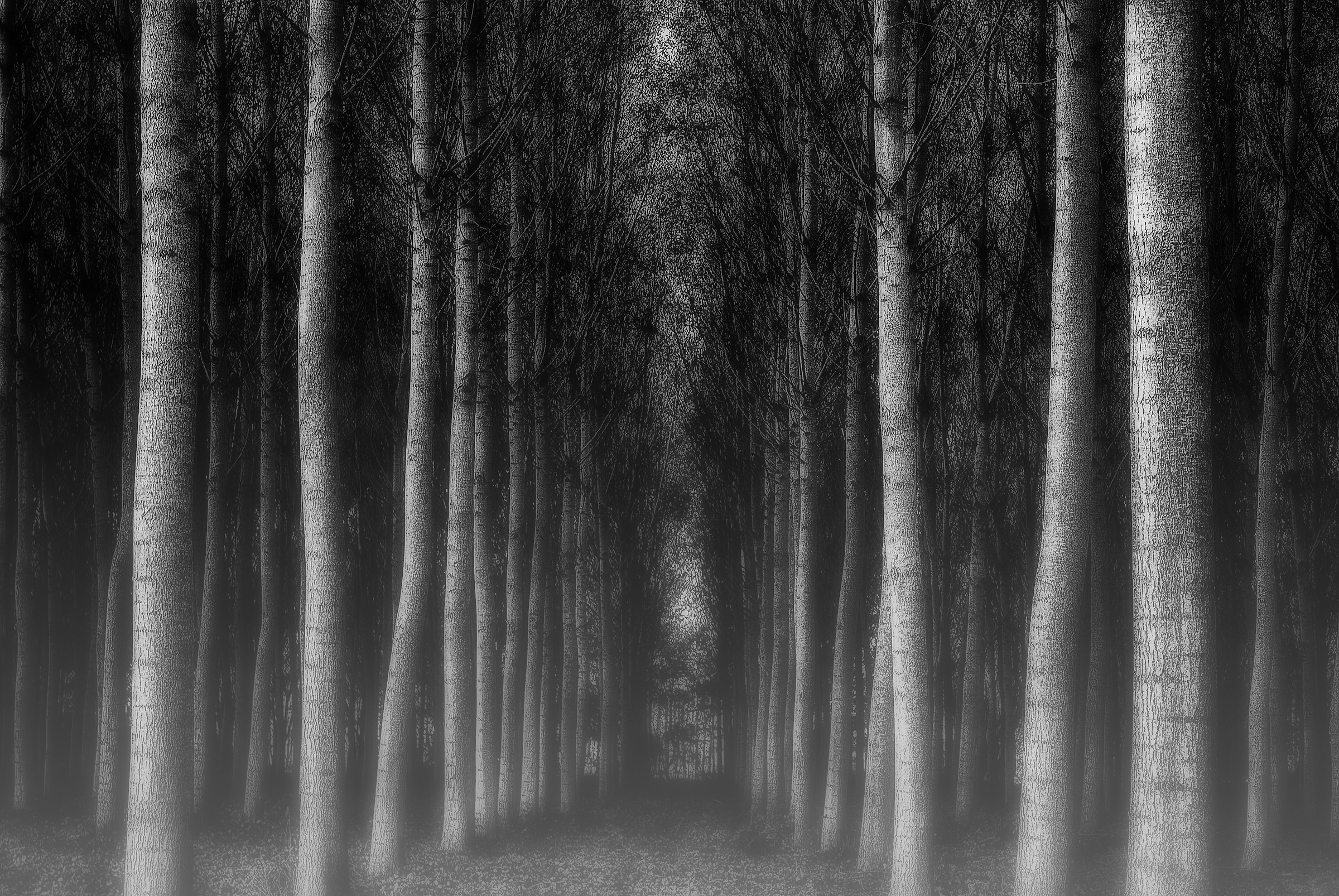 Do Not Open That Gate