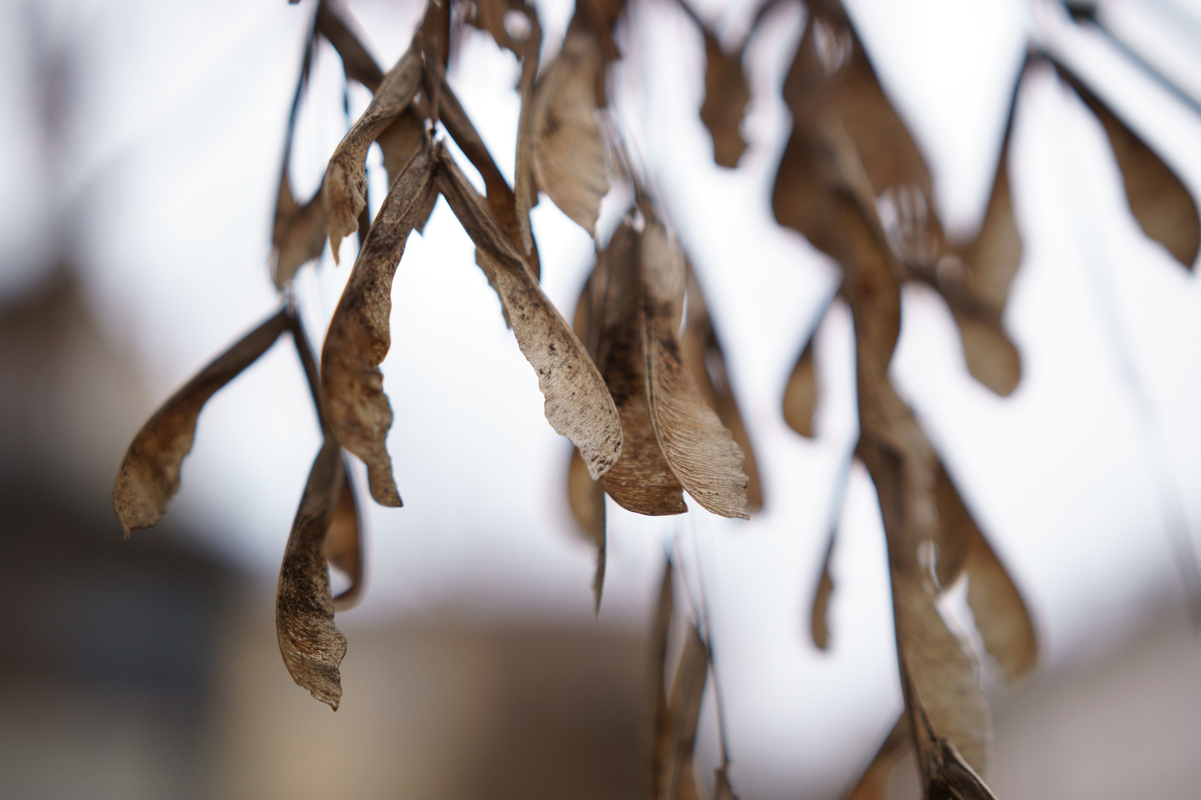 L'arte della natura 7