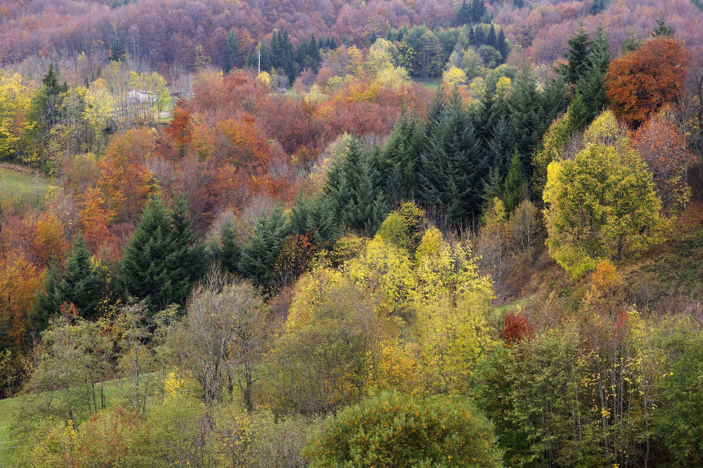 Photographic painting