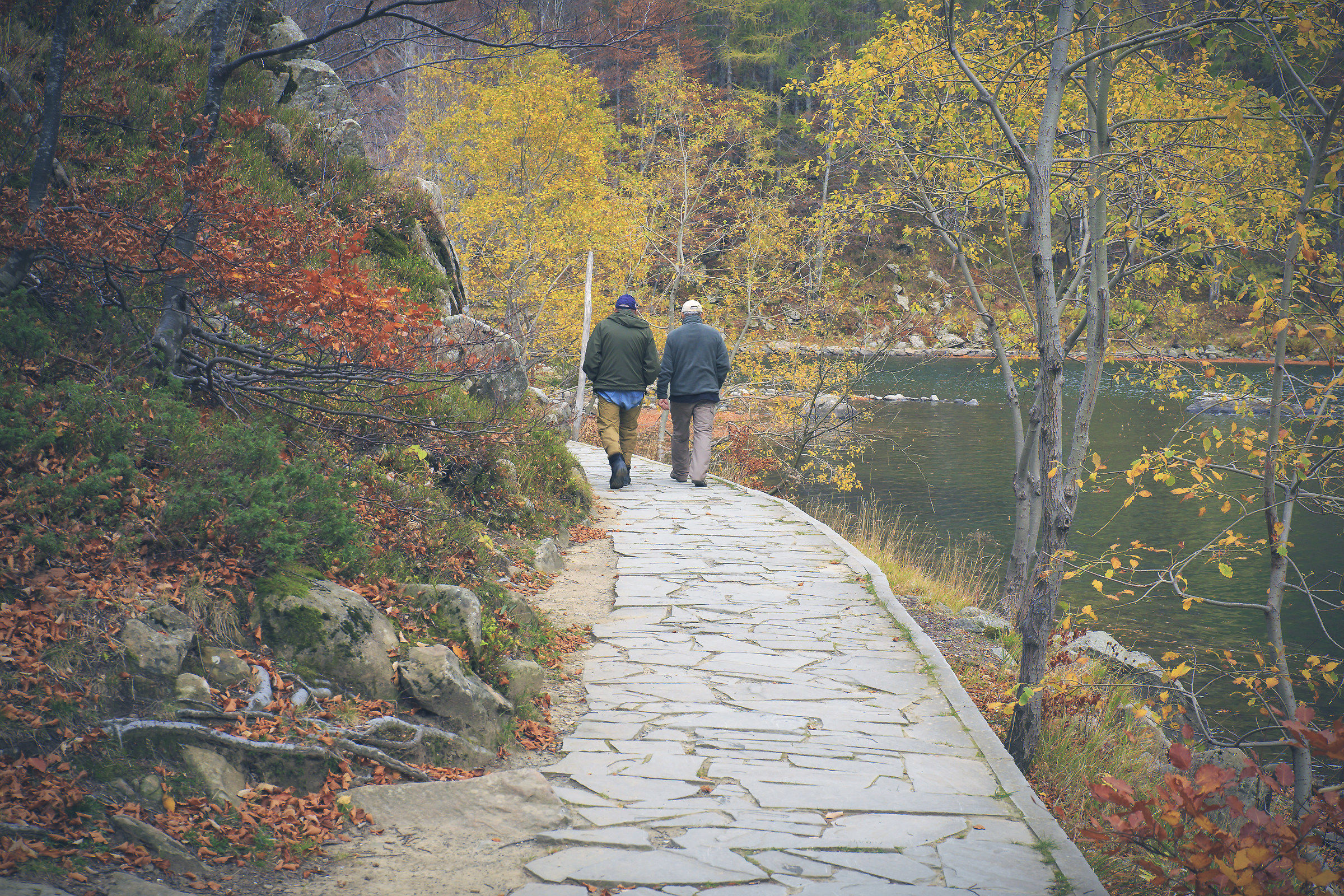 Walk among the colors