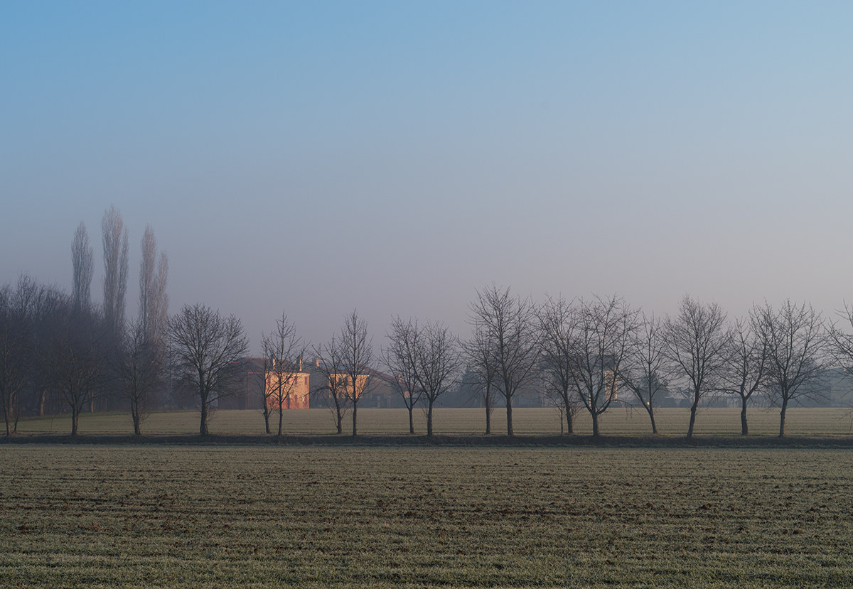 Voglio vivere così...col sole in fronte....