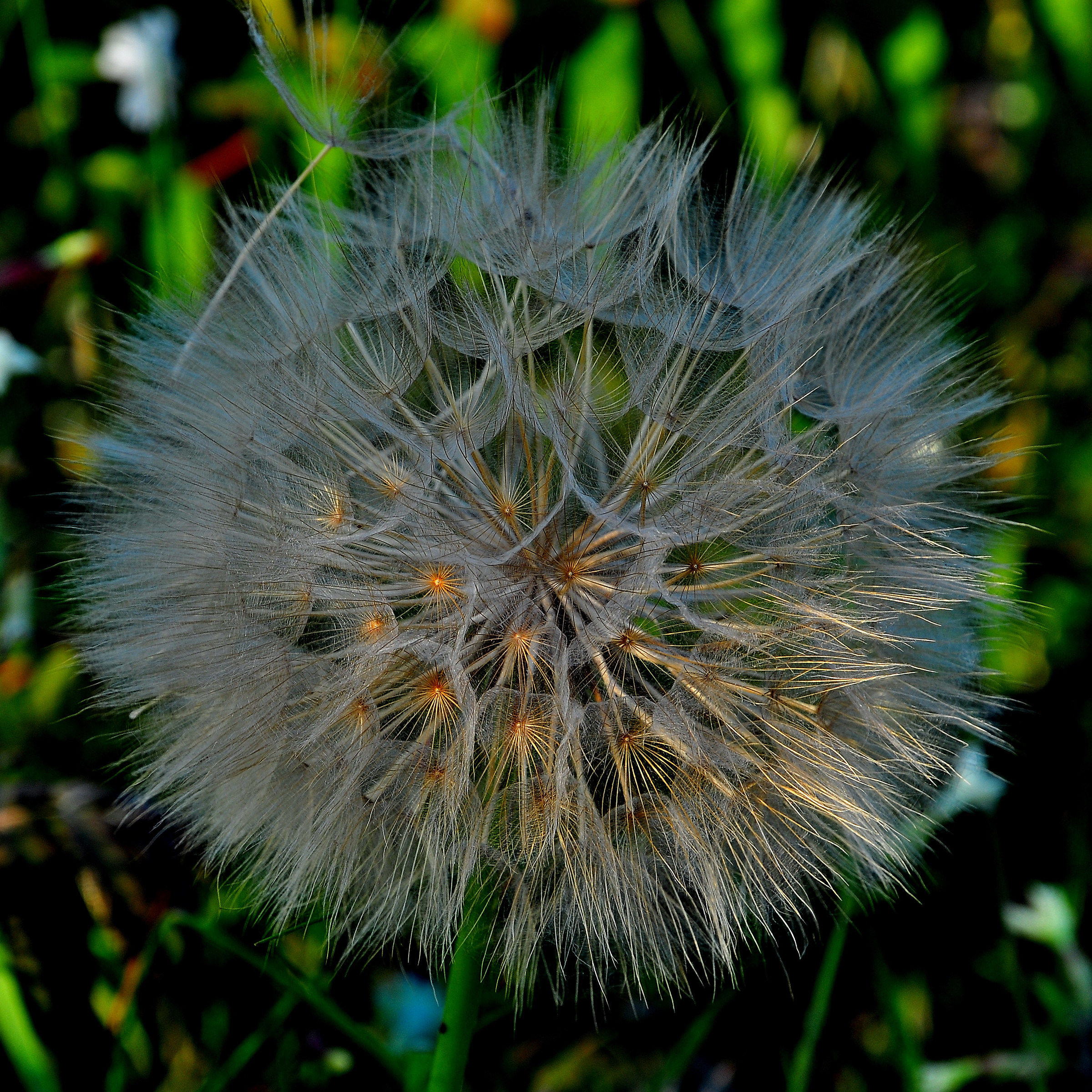 Accensione Progressiva