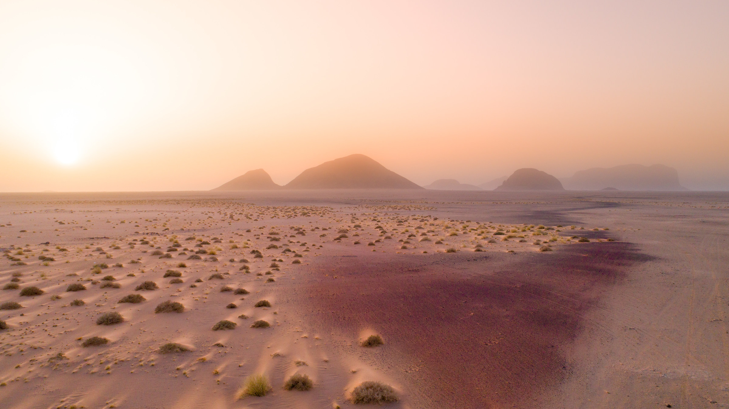 il mondo dei sogni dimenticato