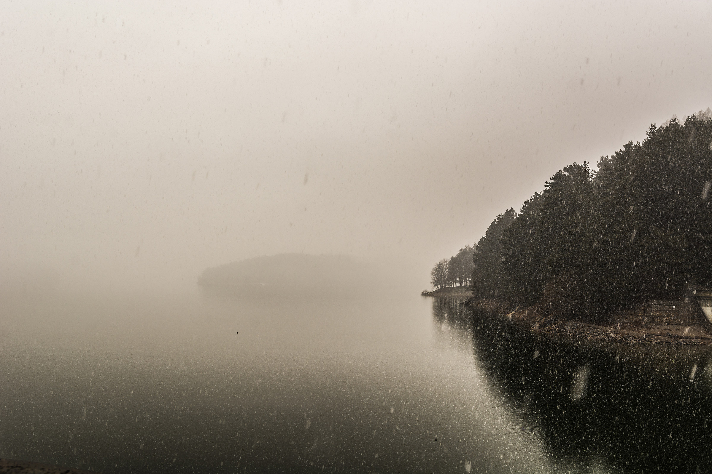 Nevicata nella nebbia