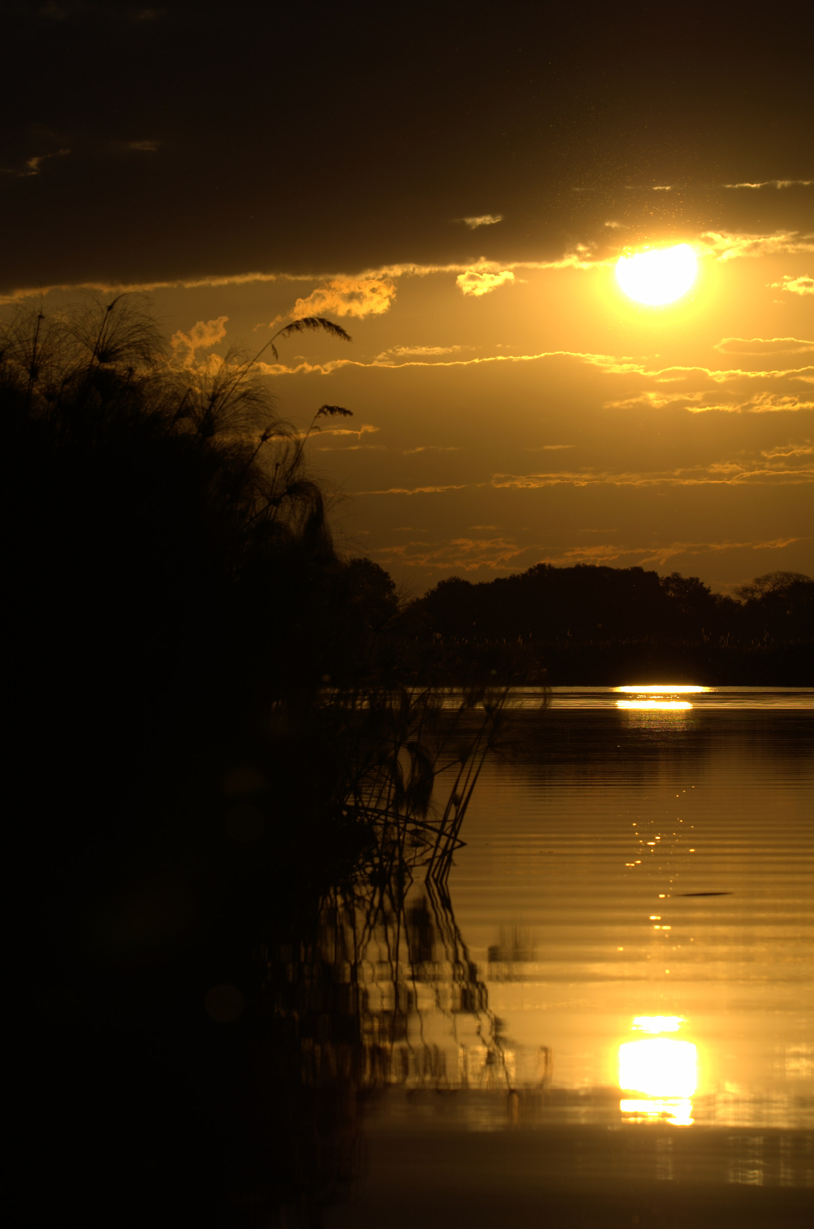 Delta Okavango - Sunset