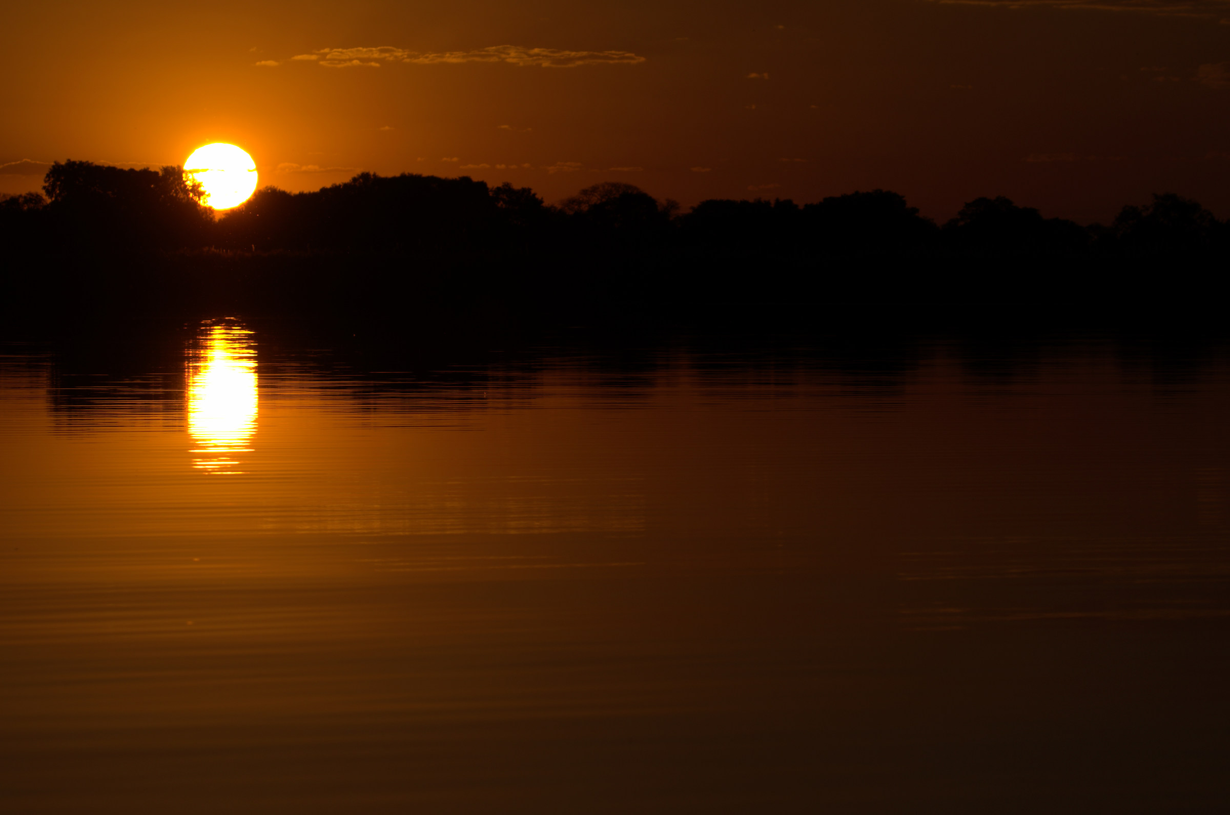 Delta Okavango - Sunset