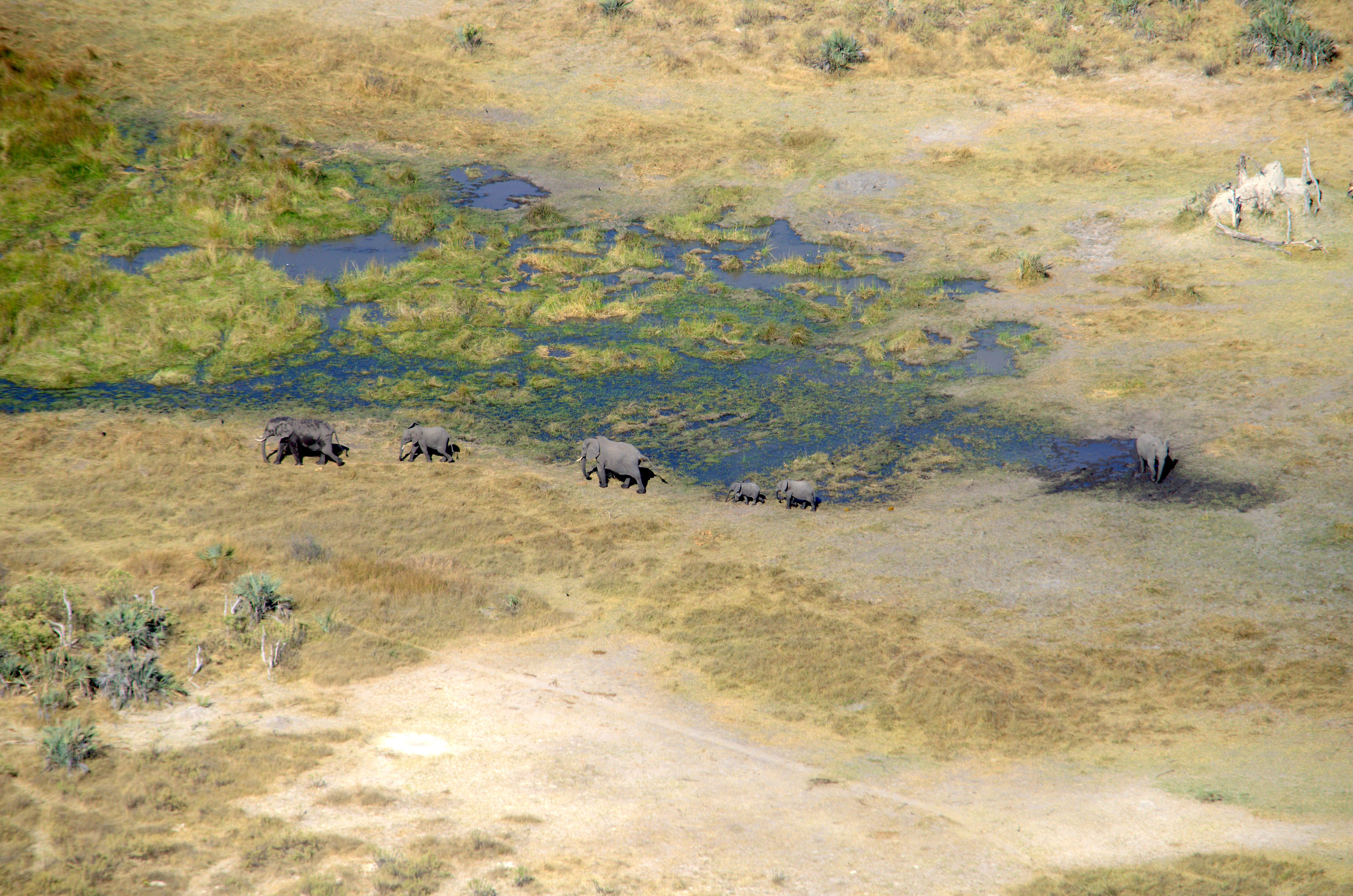 Delta Okavango - View from airplane