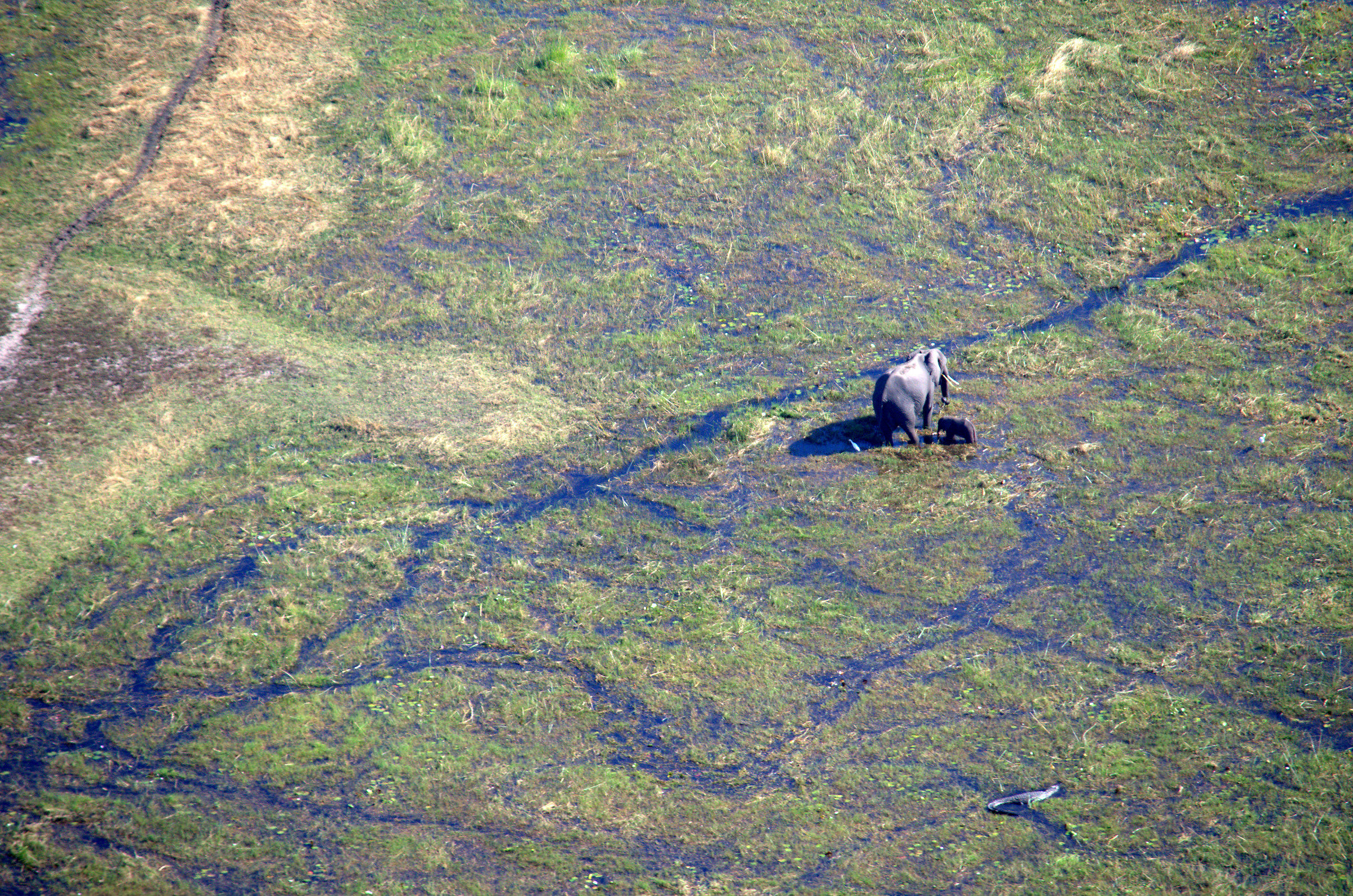 Delta Okavango - View from airplane