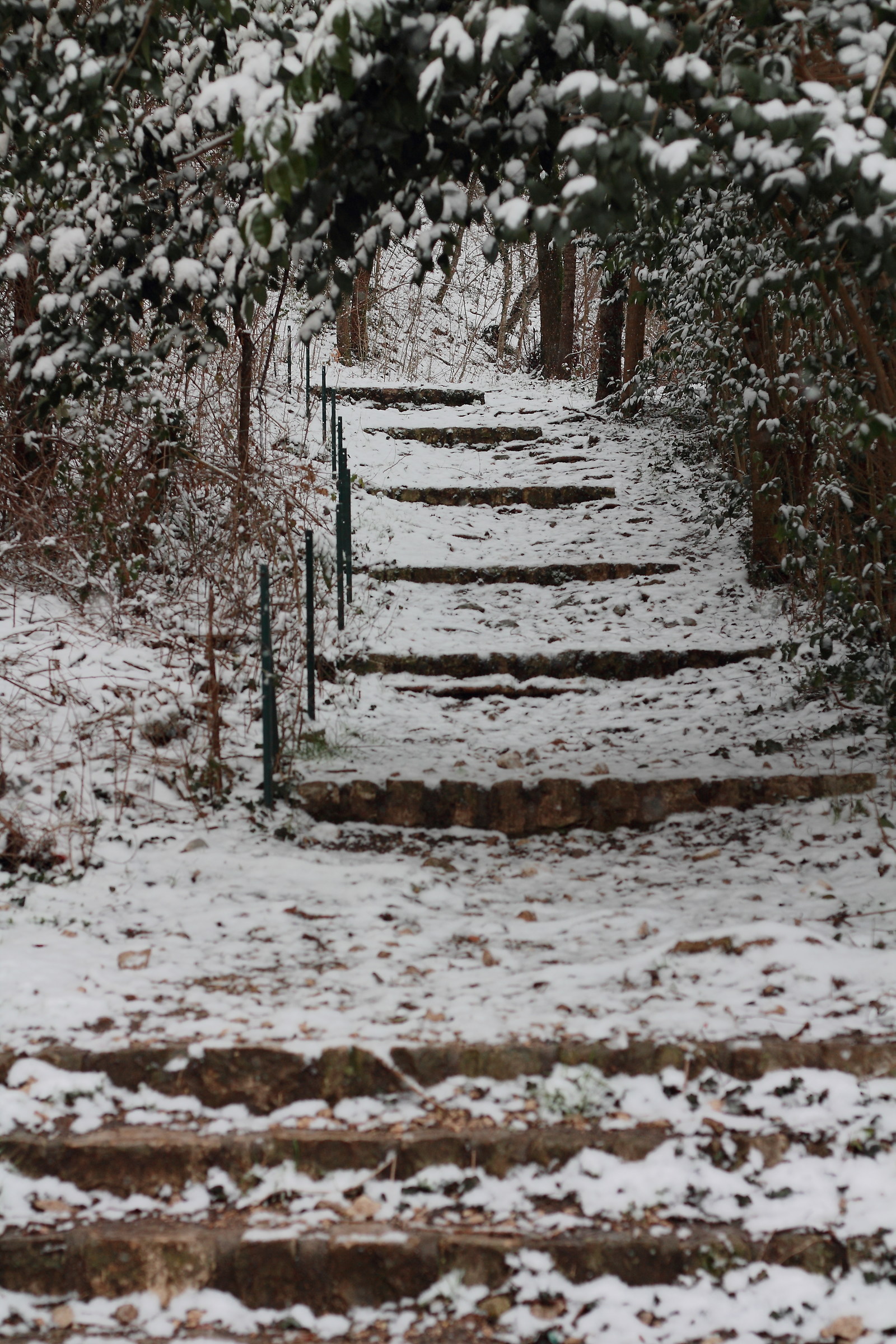 Snowy Stairs