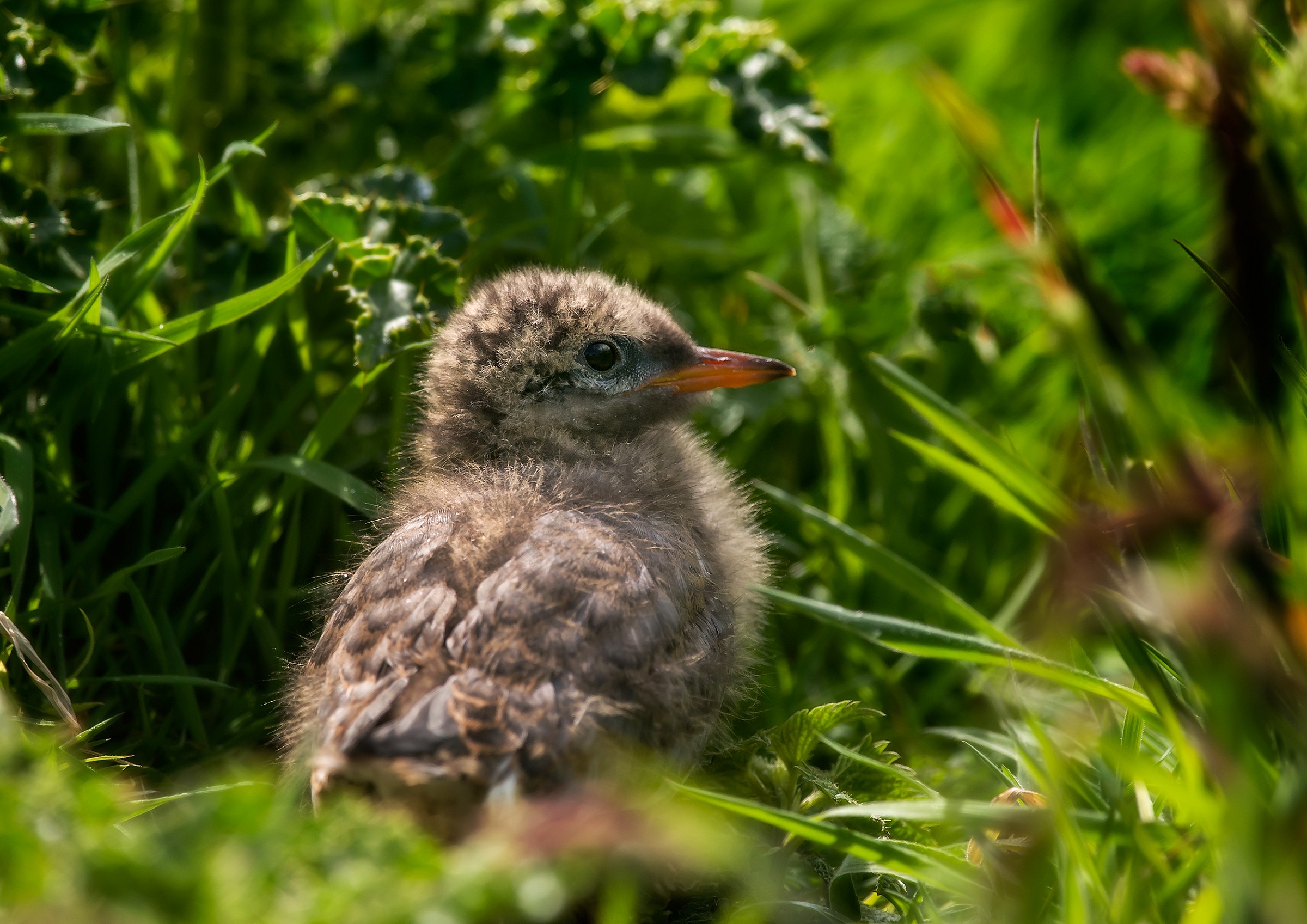 In attesa di mamma e papa'