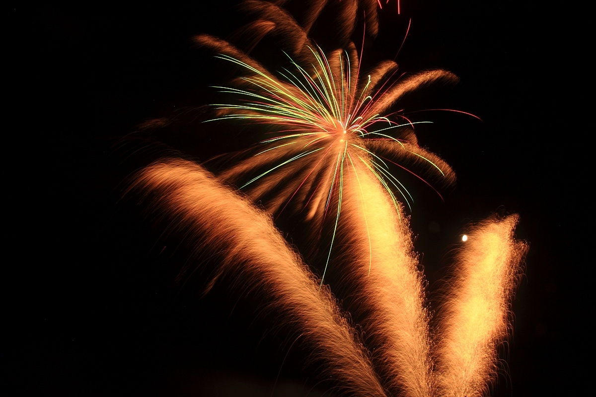 Fire Artifice to Shaggy