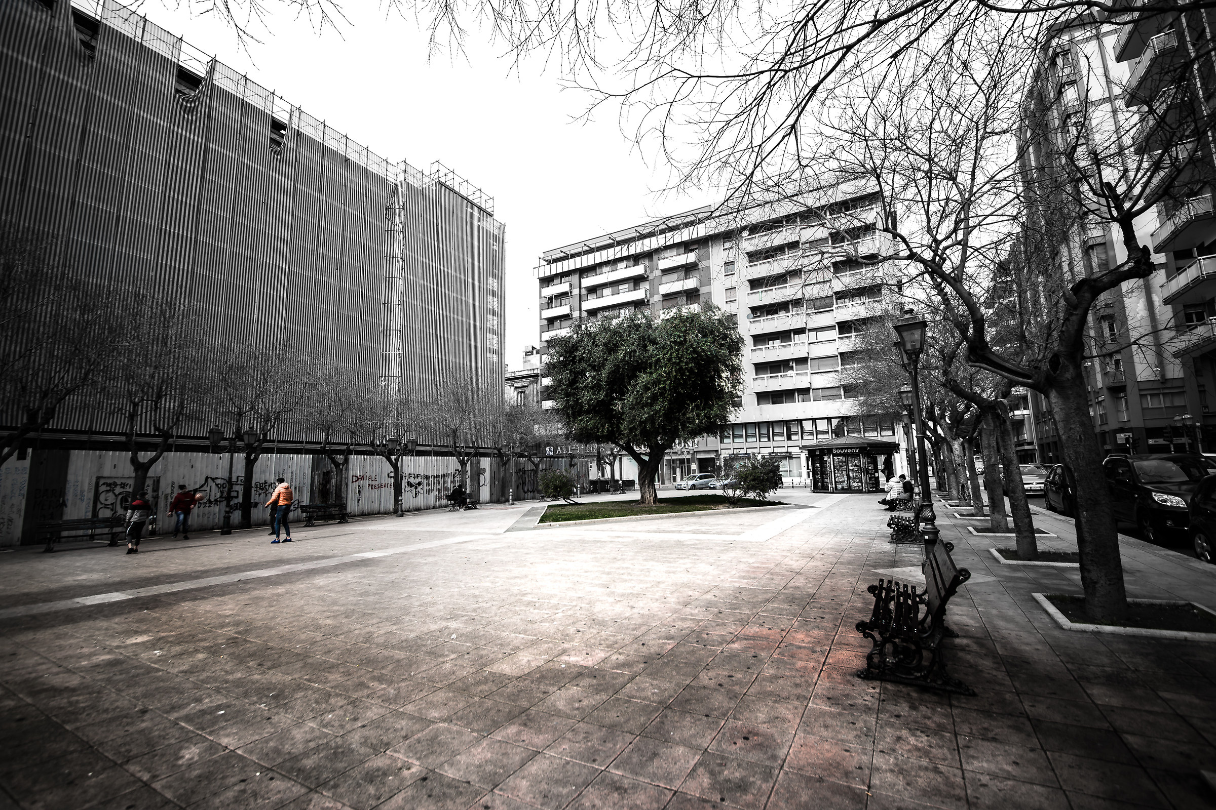 Il verde tra il grigio del cemento