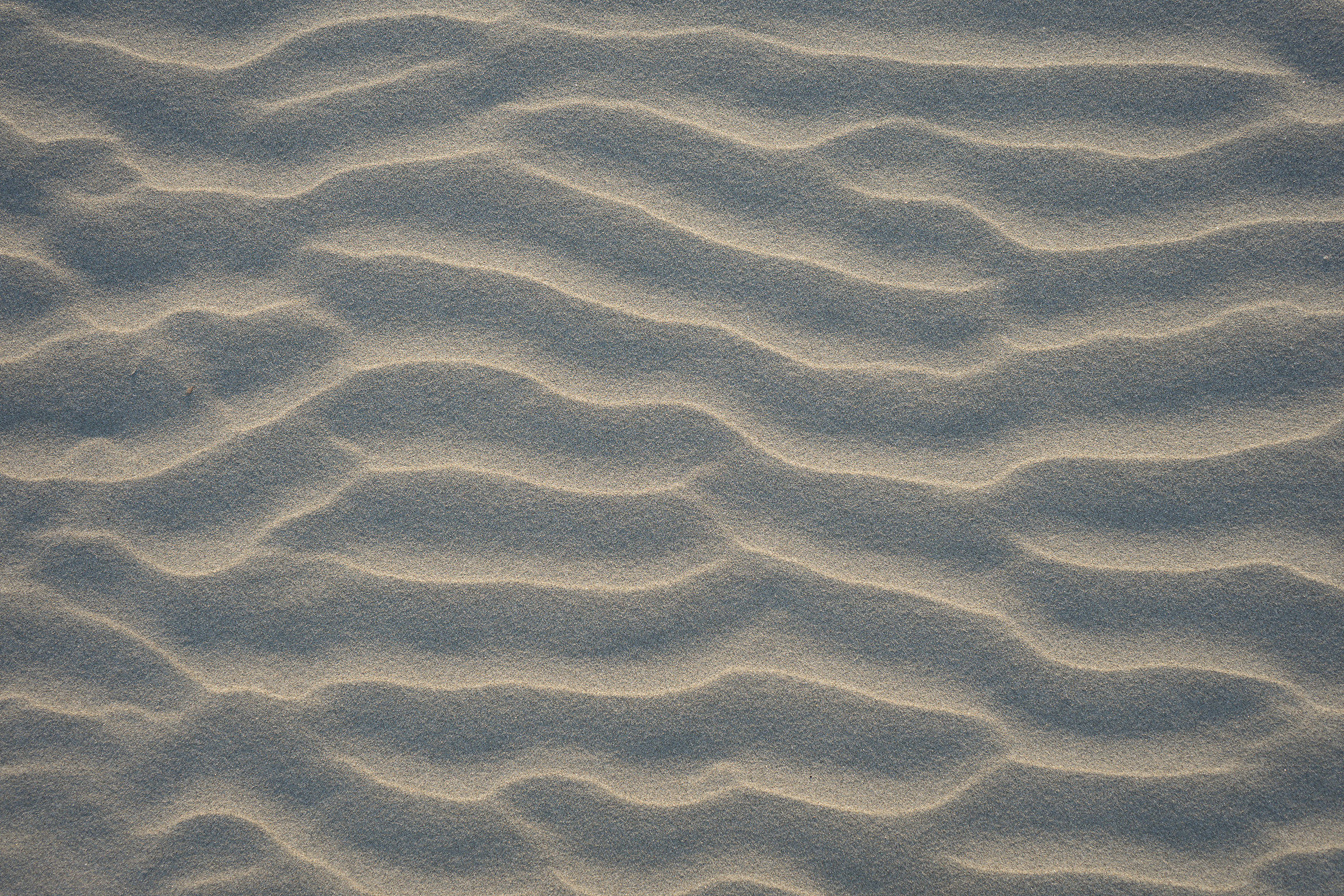 Texture spiaggia