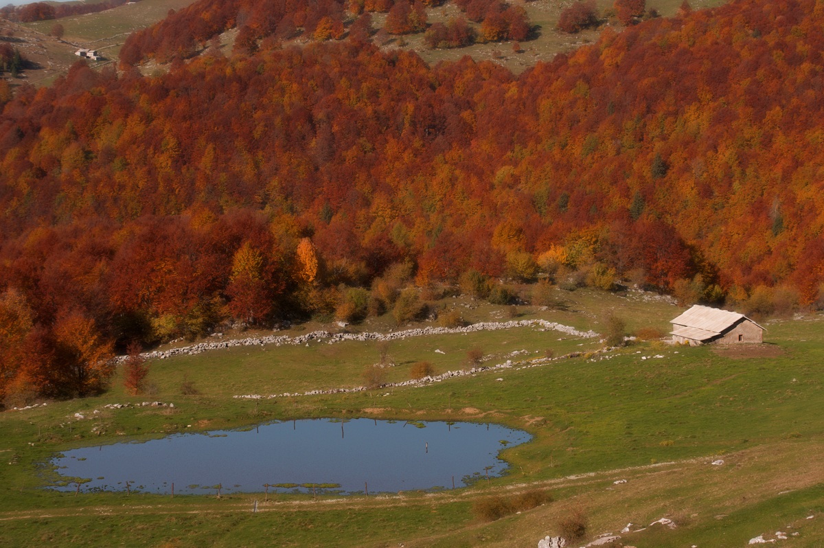 lessinia autumn .......