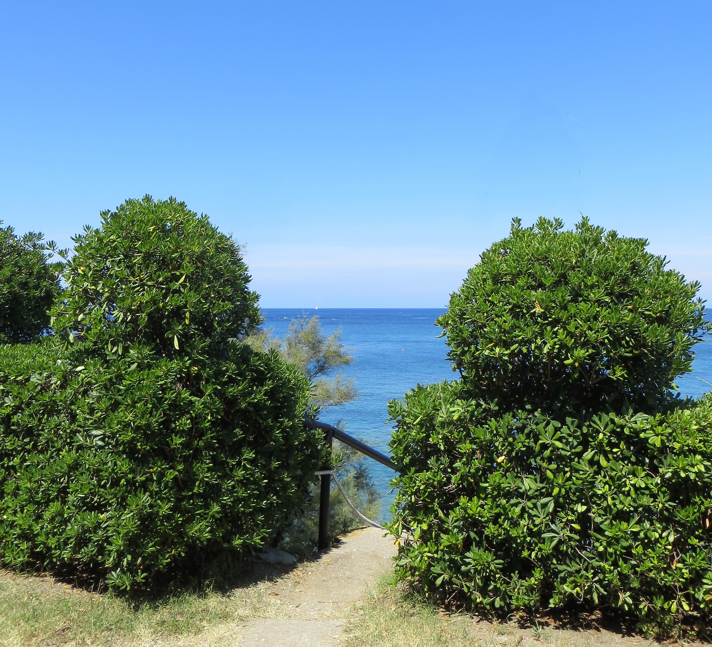 Longing for the sea 14 ...