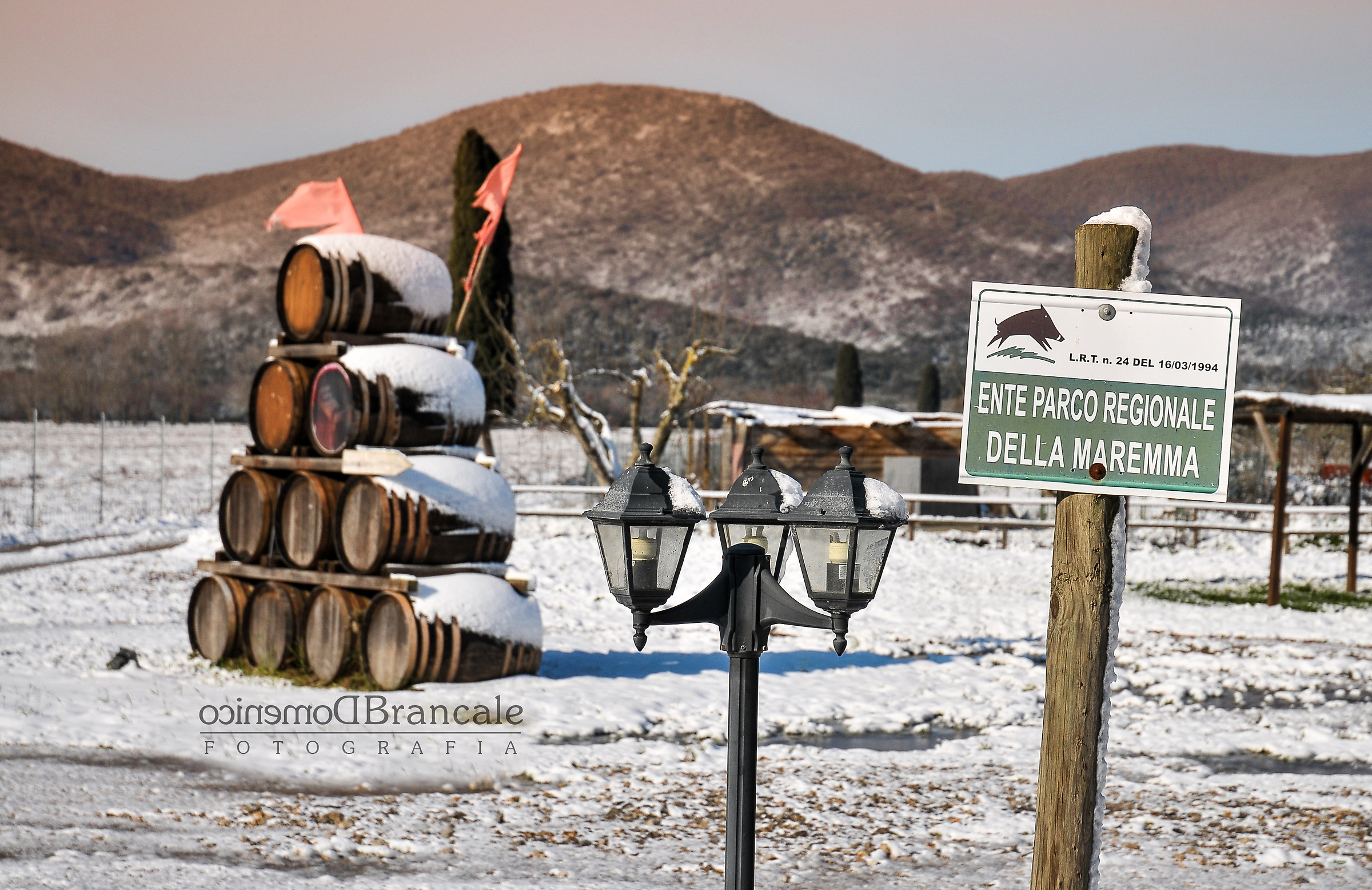 unusual foreshortenings