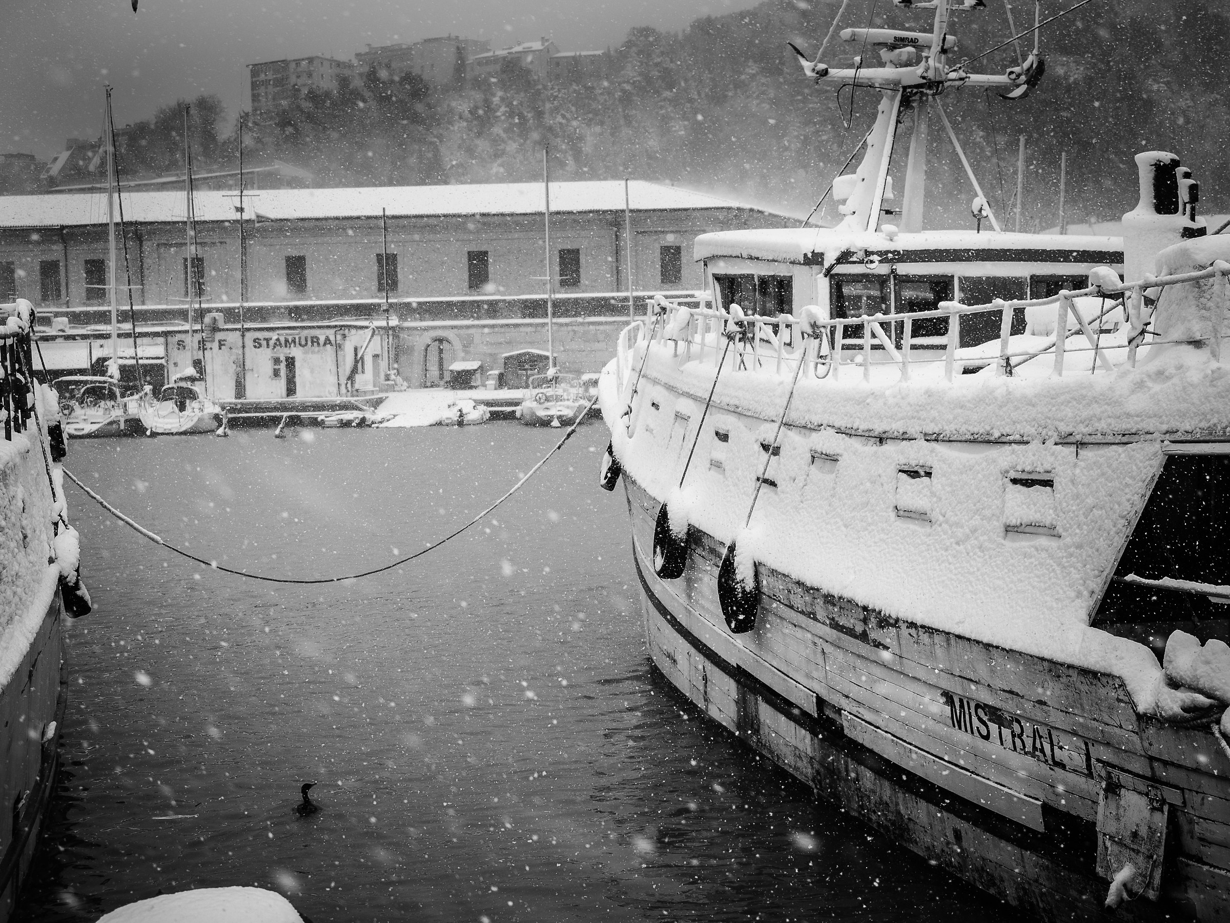 Fishing boats and Mole Vanvitelliana