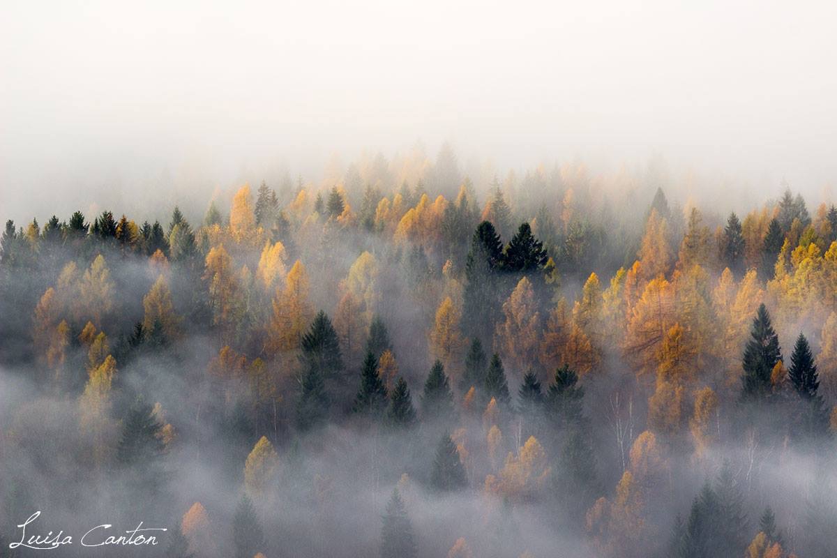 Nellanebbia riaffiorano i ricordi..