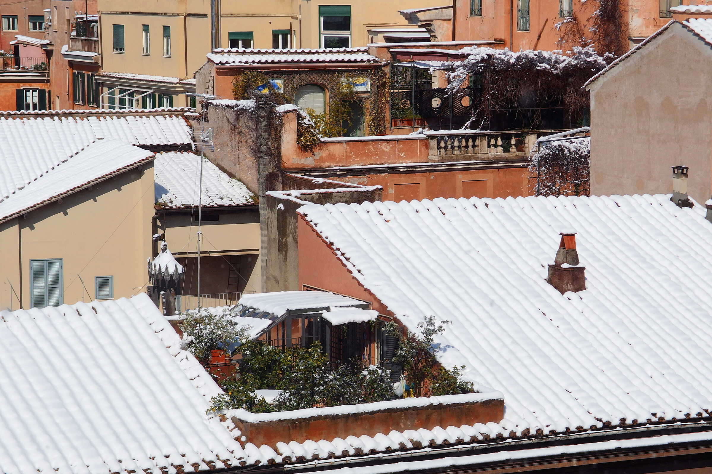 Roofs of Rome