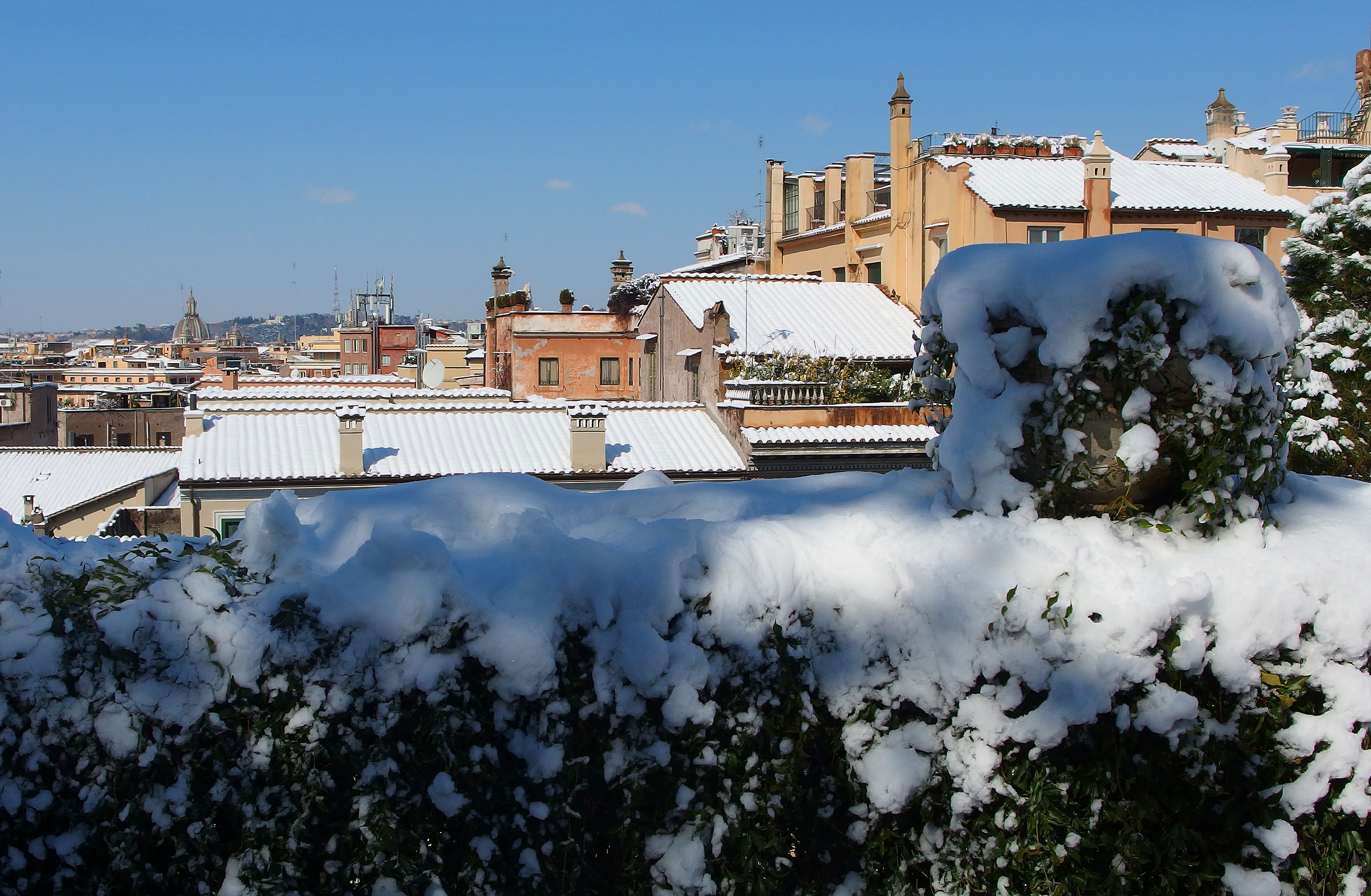 The roofs of Rome