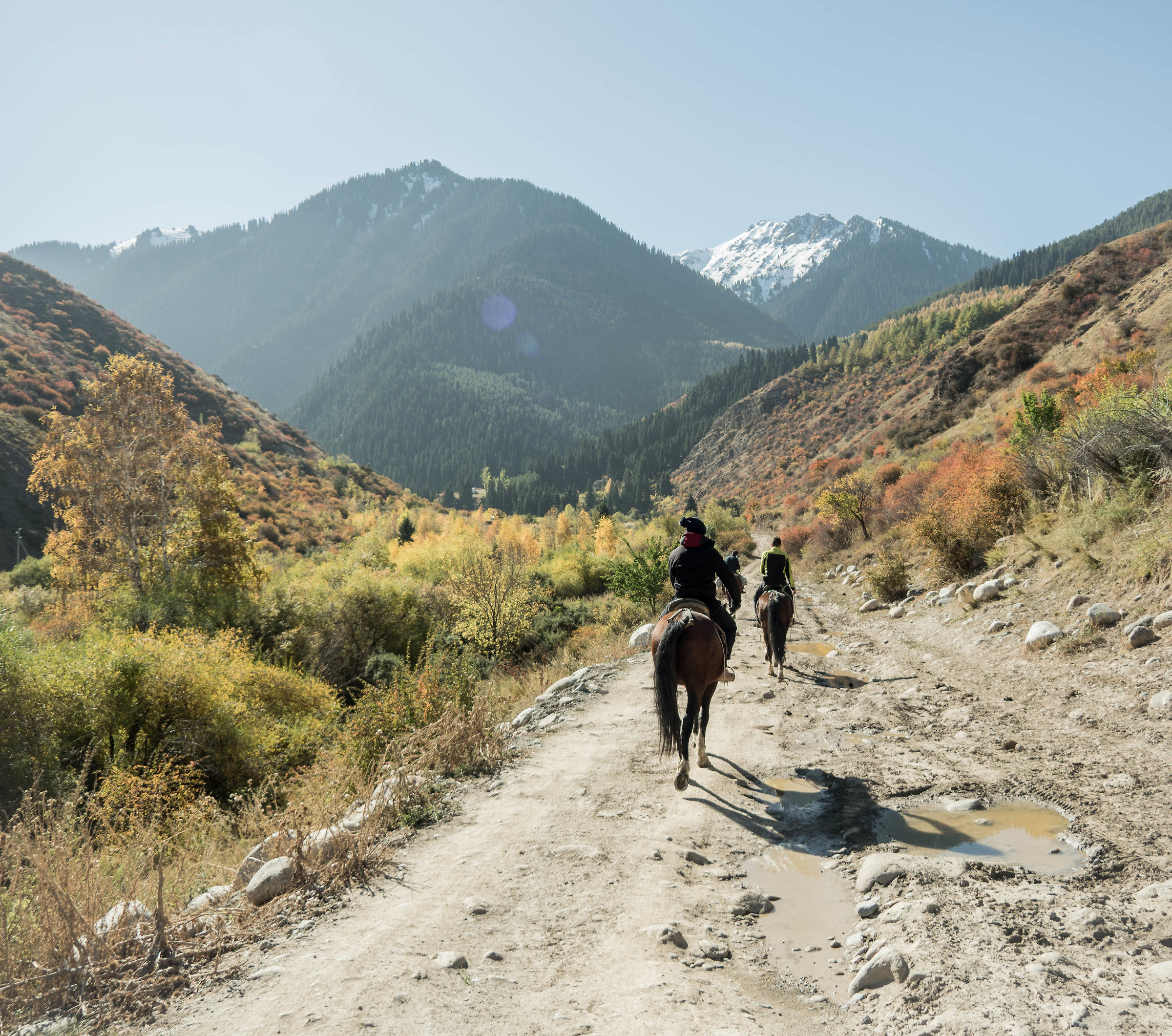 the silk road in a modern sauce