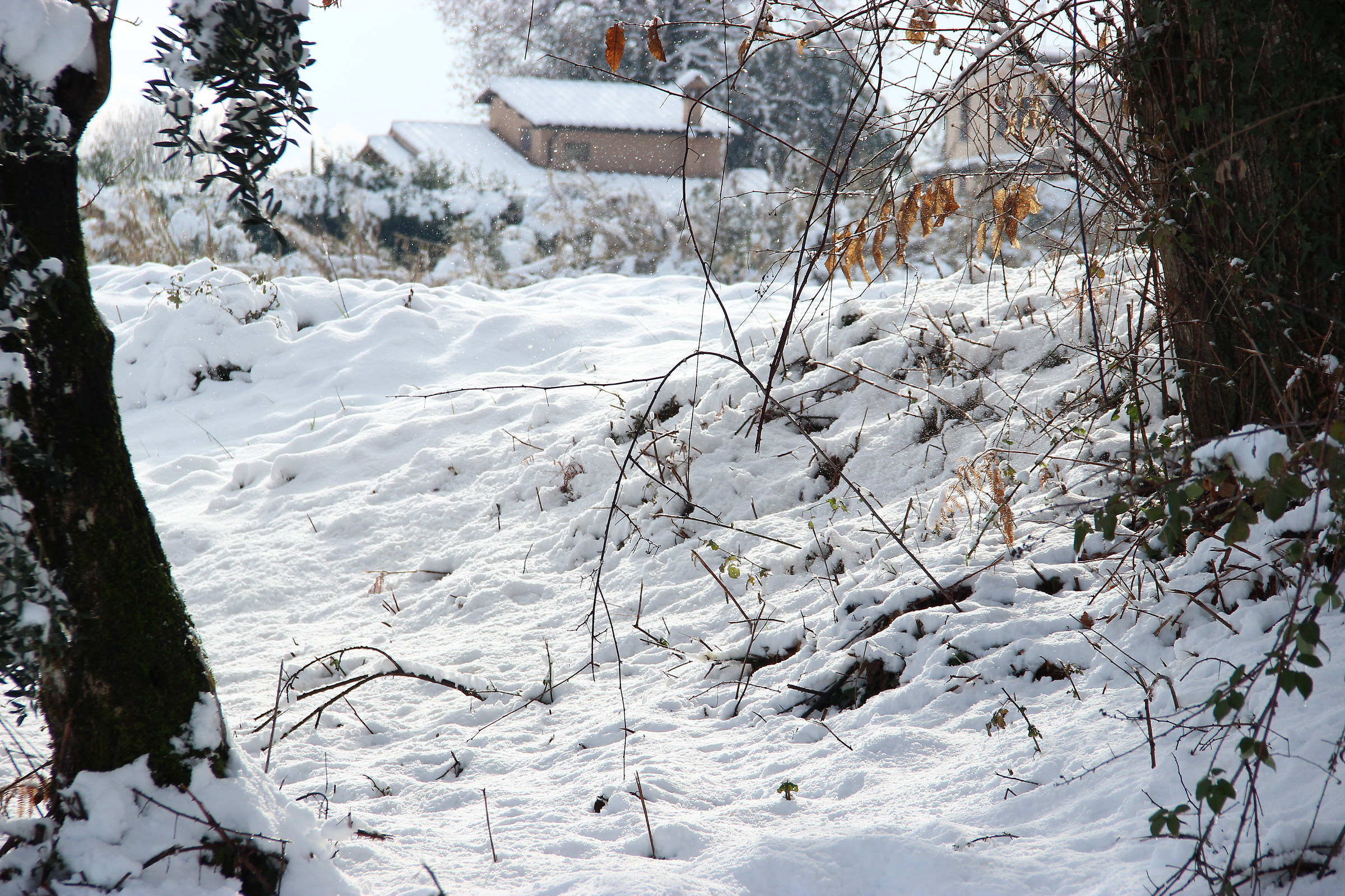 Scorcio innevato