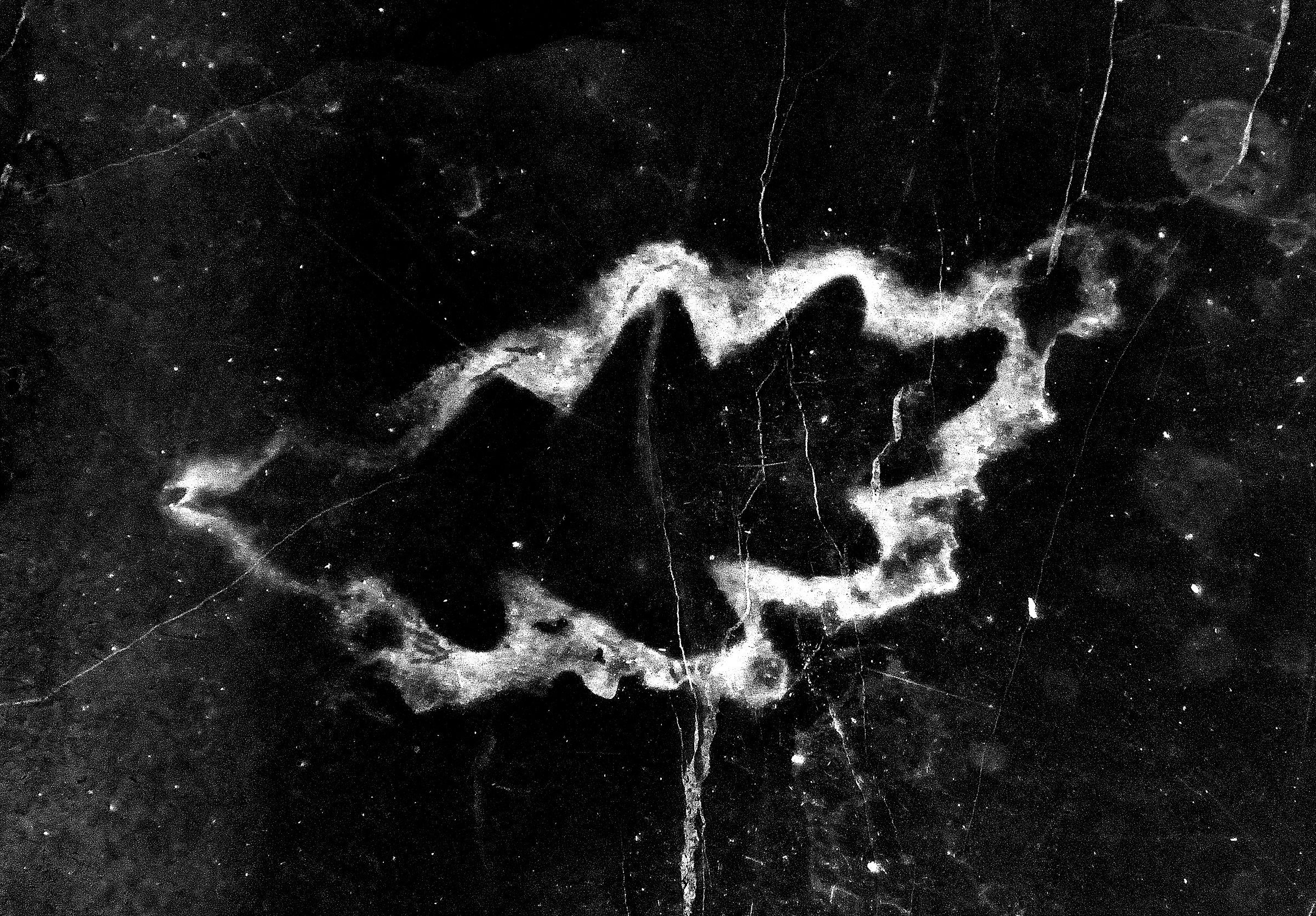 Quel che resta di una foglia...