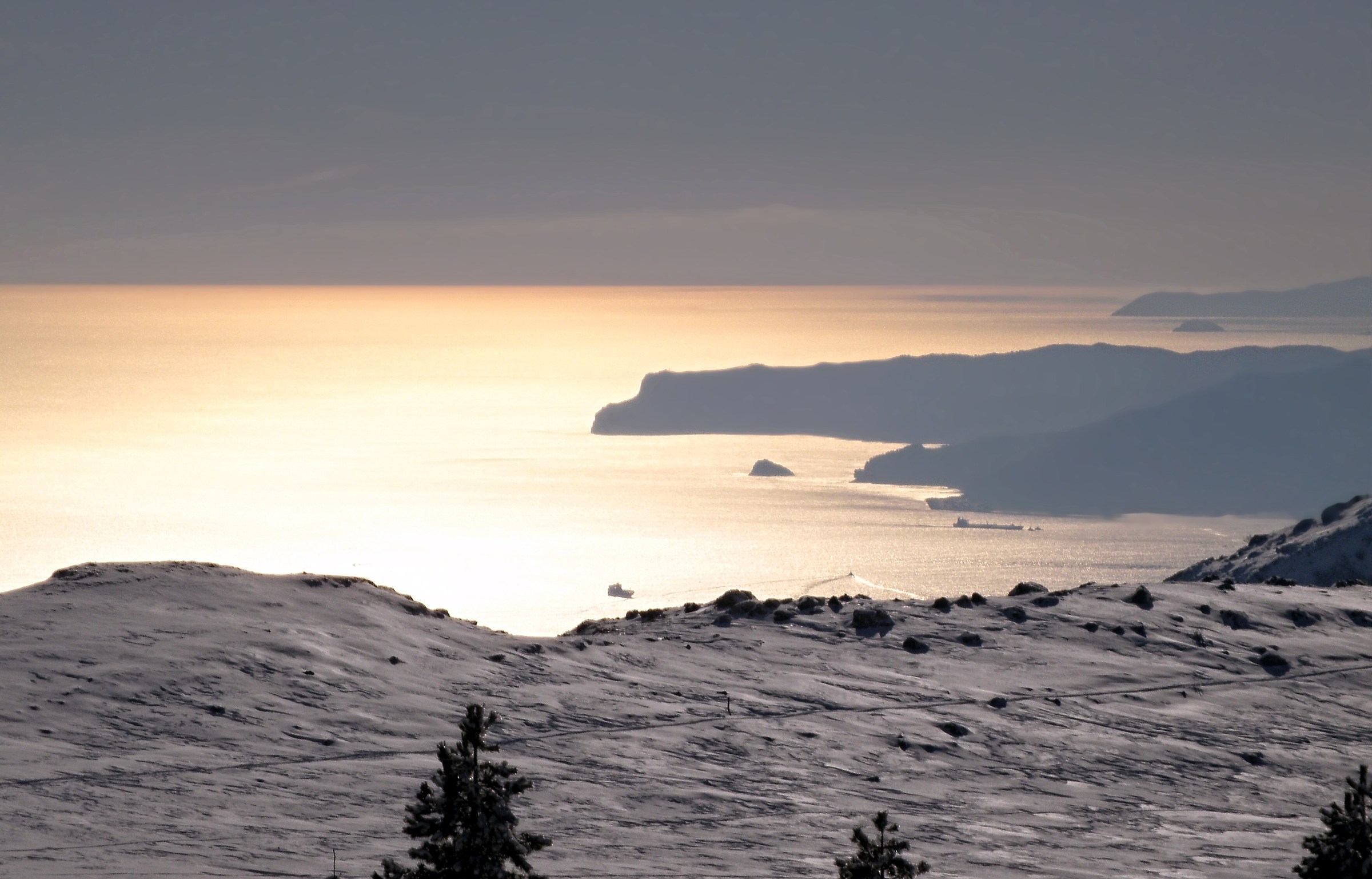 The show was compelling