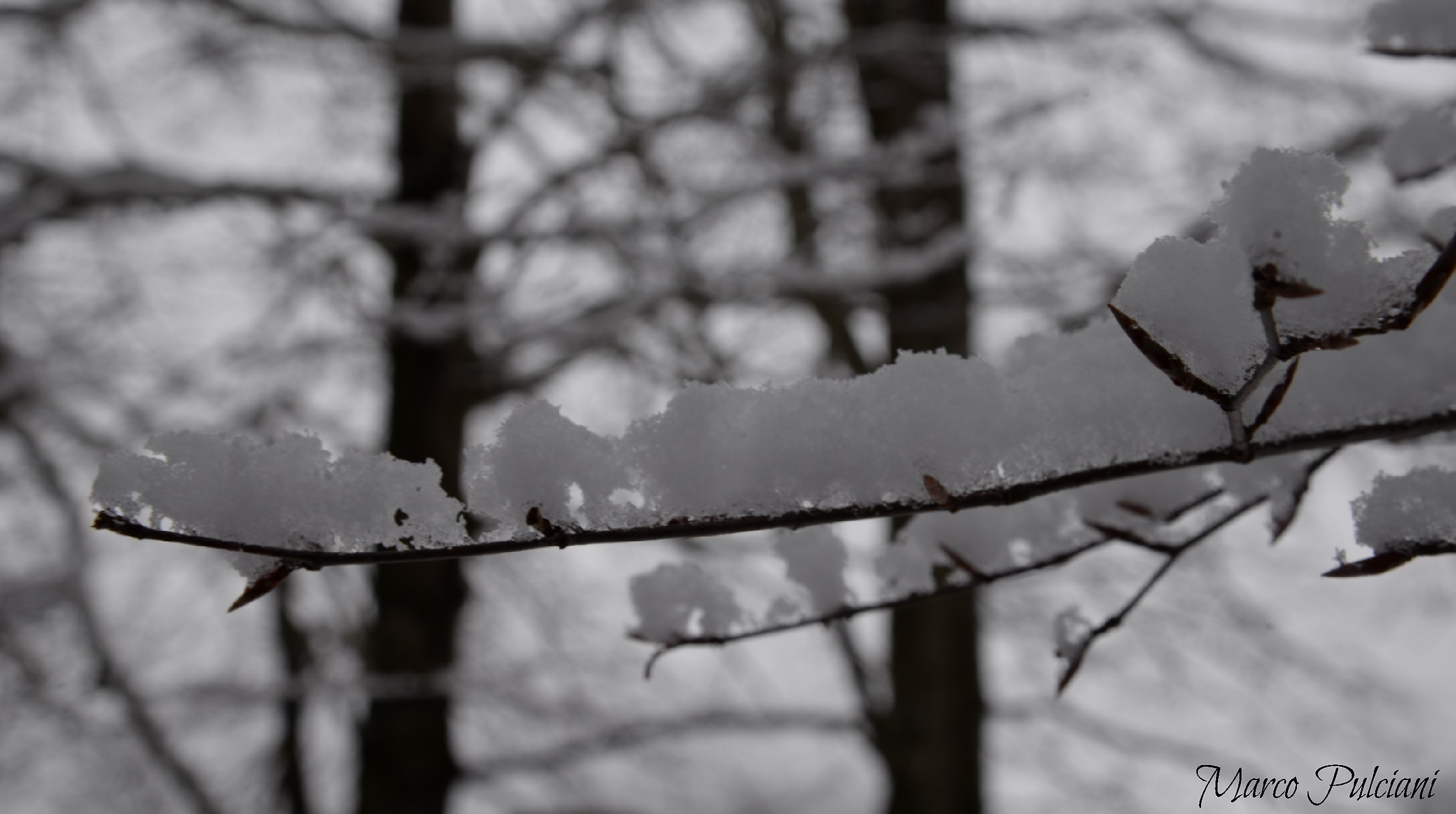 fondi di jenne (simbruini)