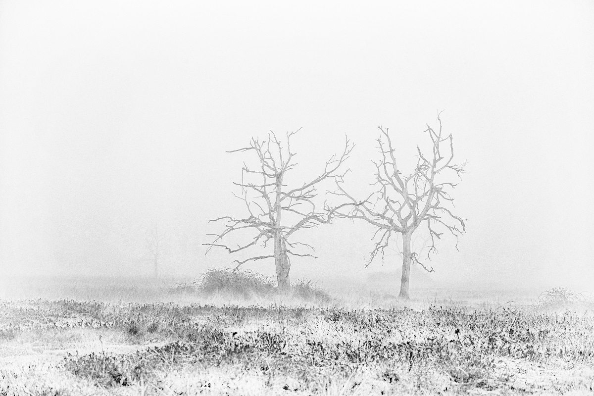 Burian (Less than 10)