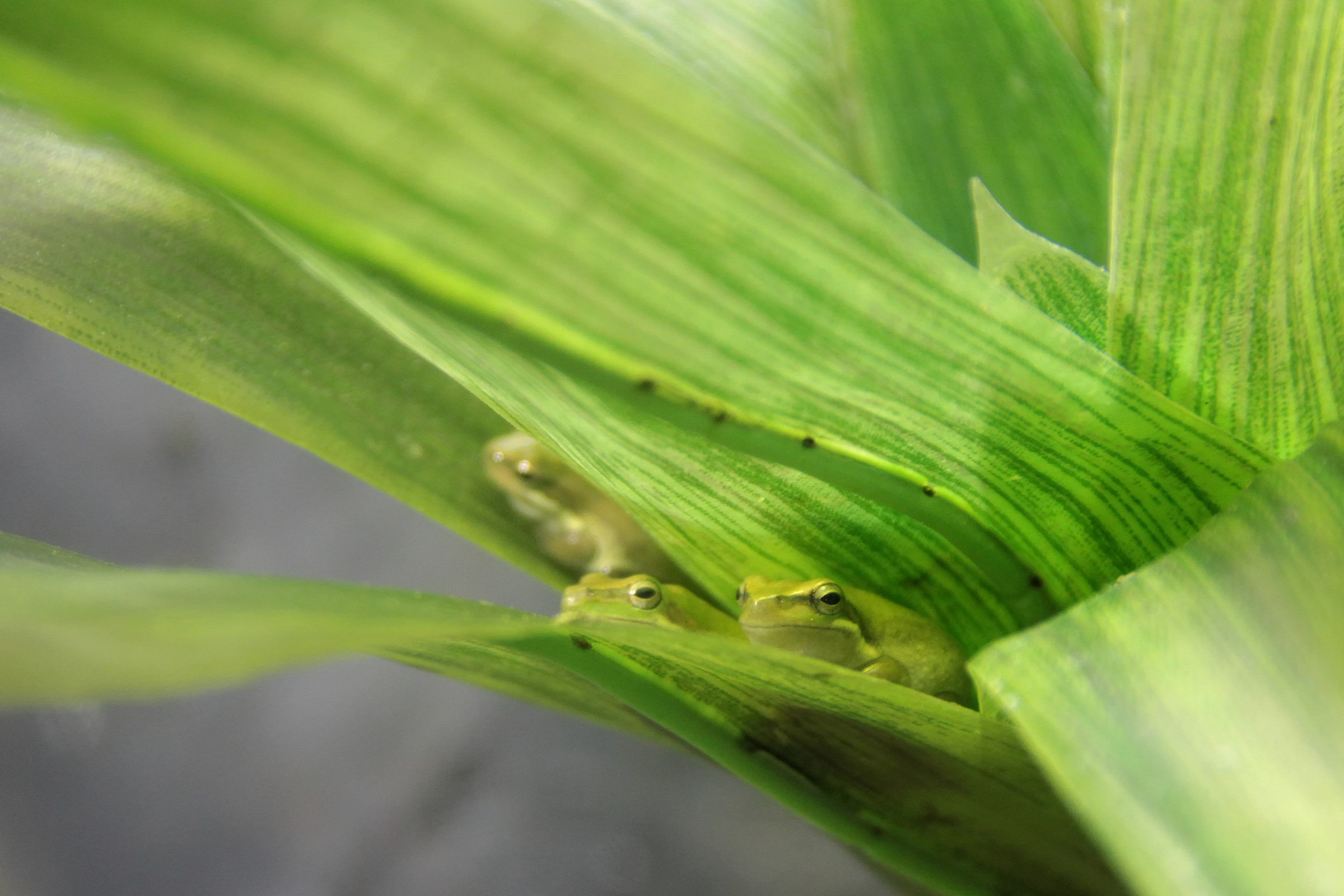 Ragazzi, che c'è stasera in tv!?