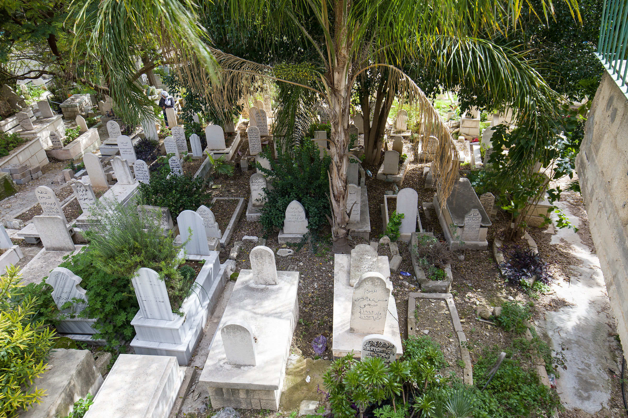 Muslim cemetery