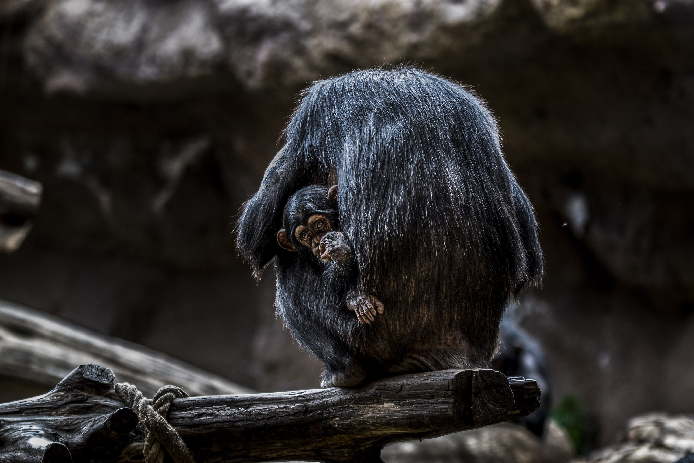 Mom always takes care of her baby