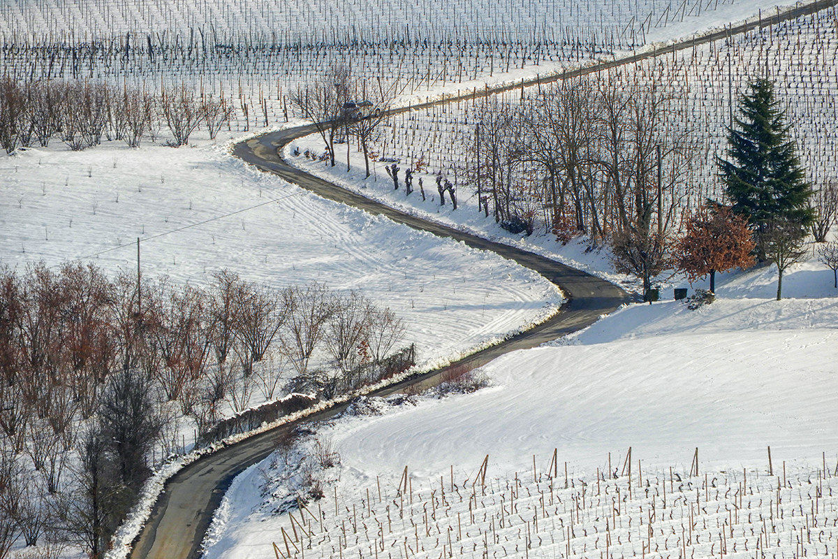 Langhe - the wine route