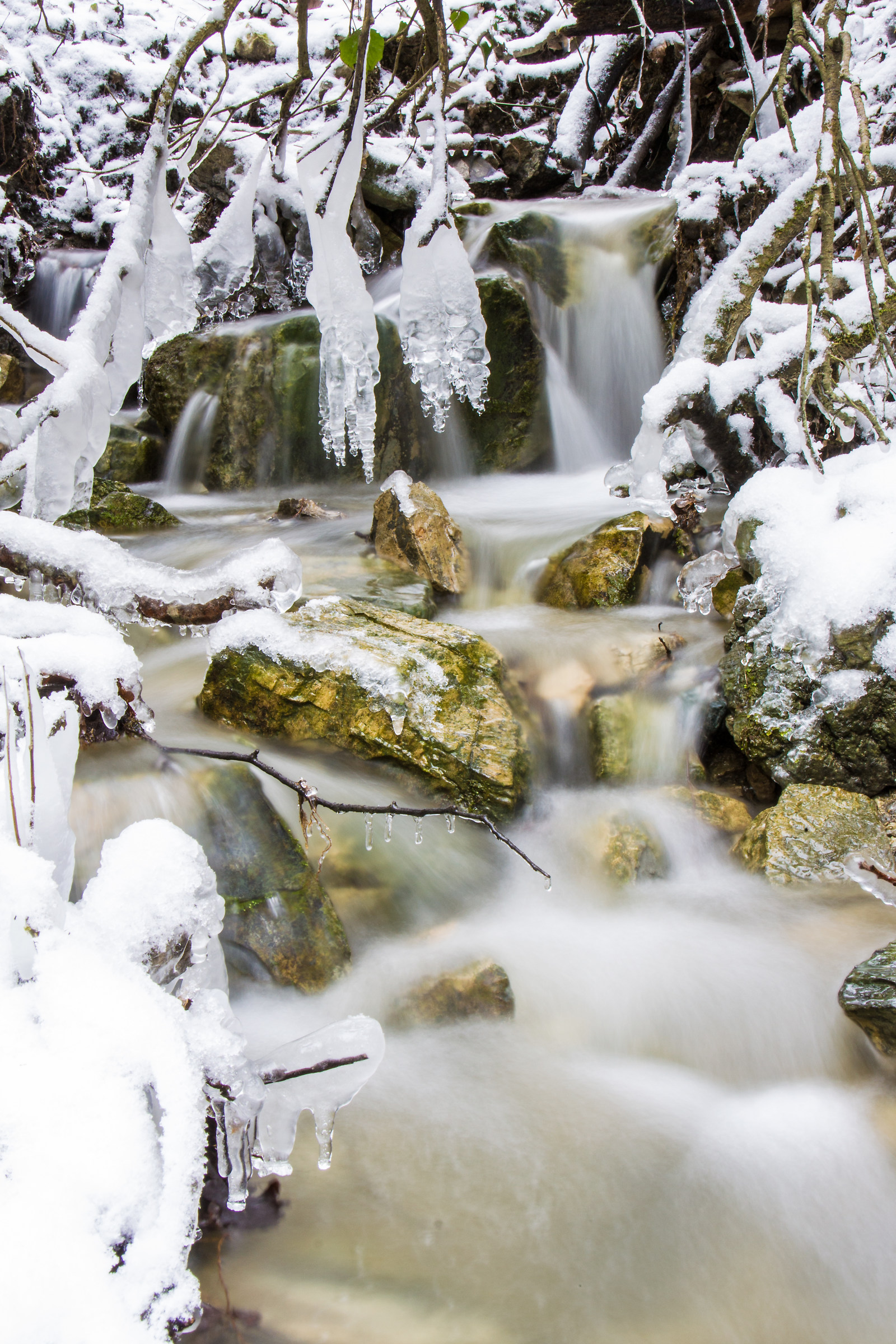 Brook in snowy forest