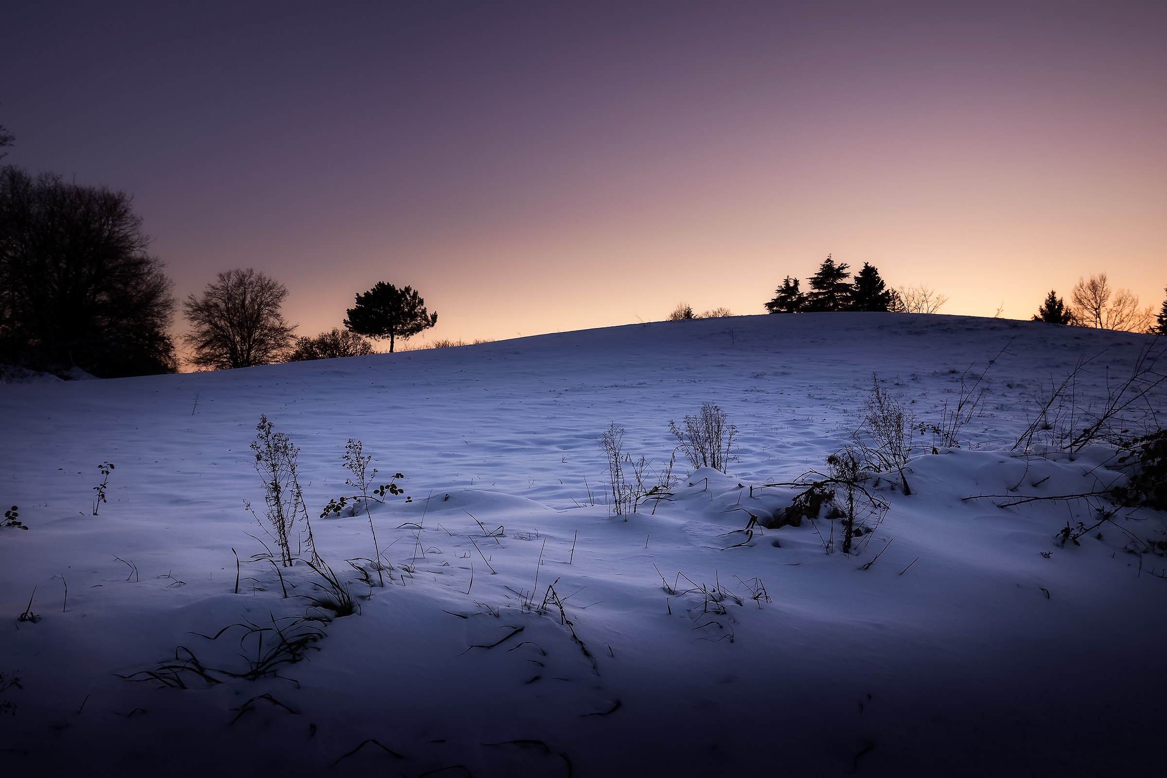 Will you stay at home or will you chase the light?