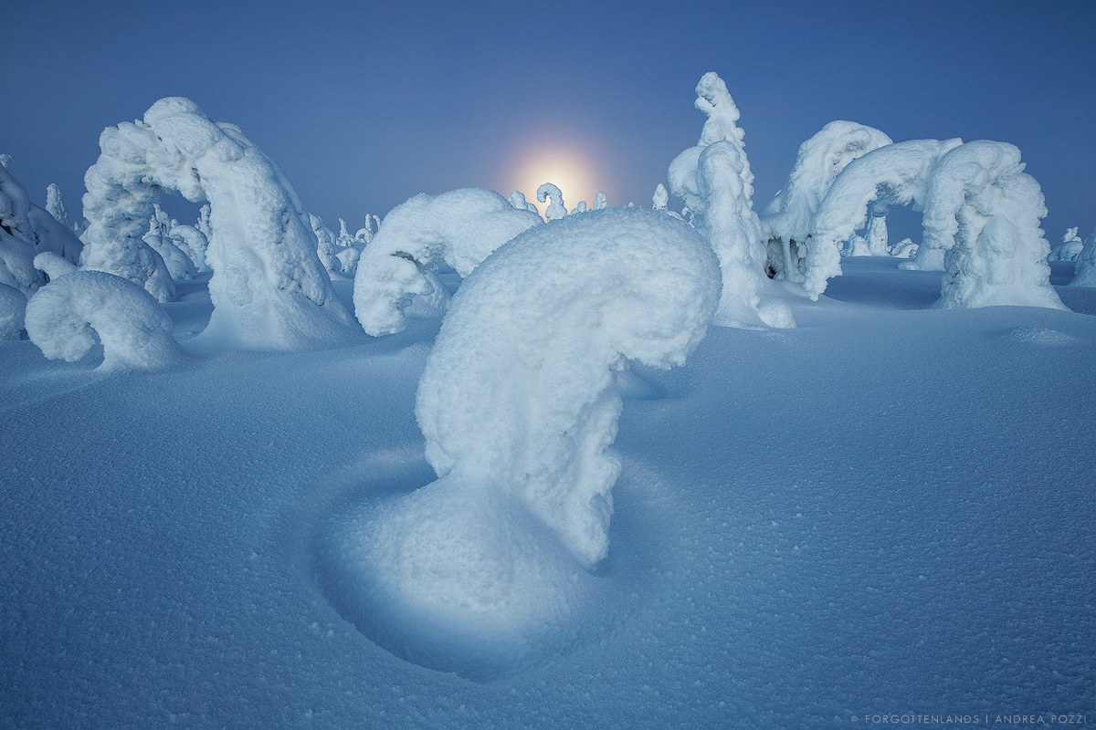 The lunar sunset of the elves