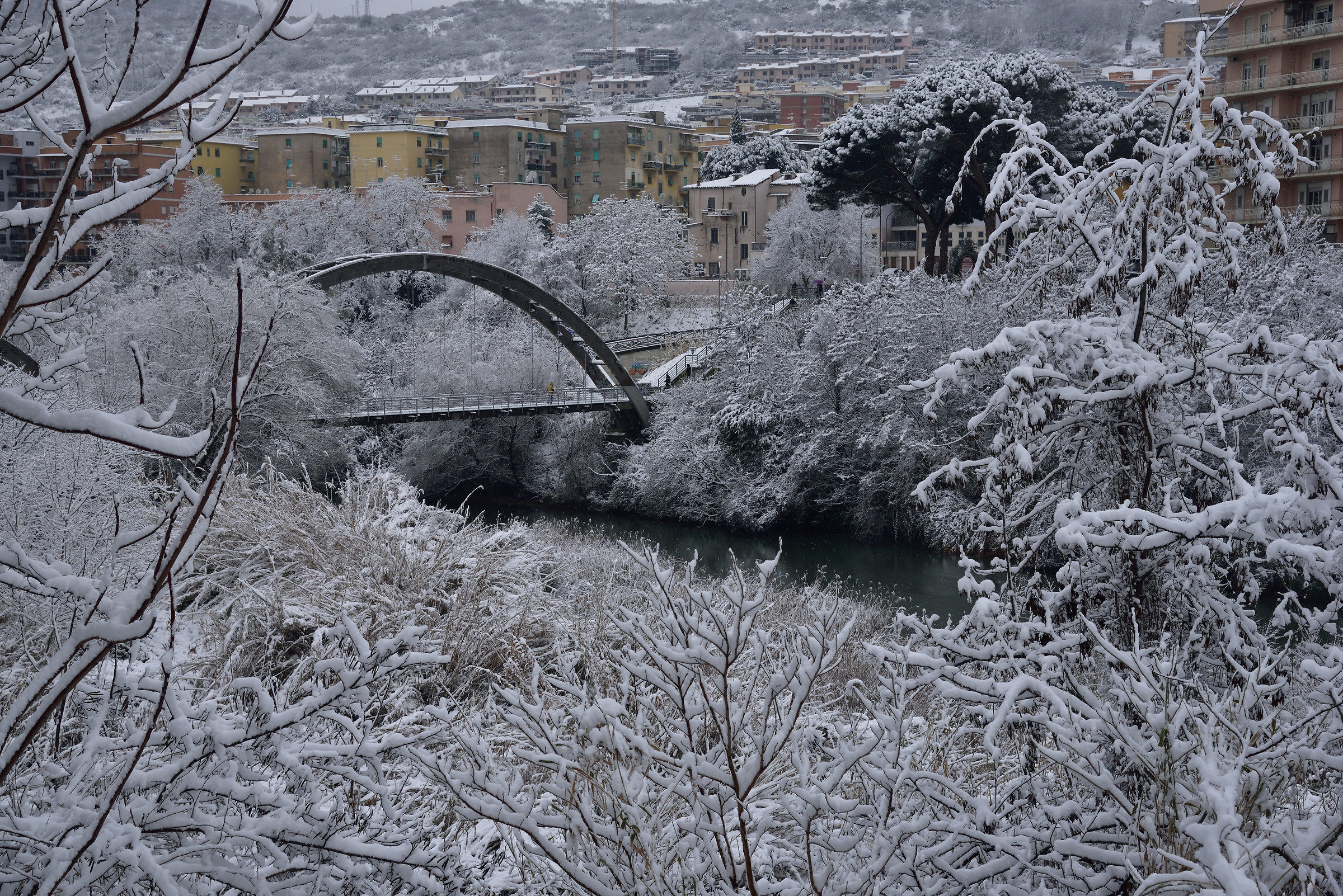 view "the bridge of peace" 1