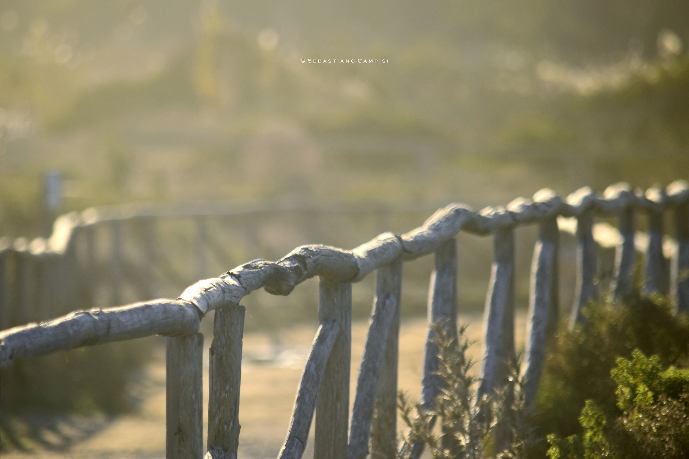 Natural oasis of Vendicari