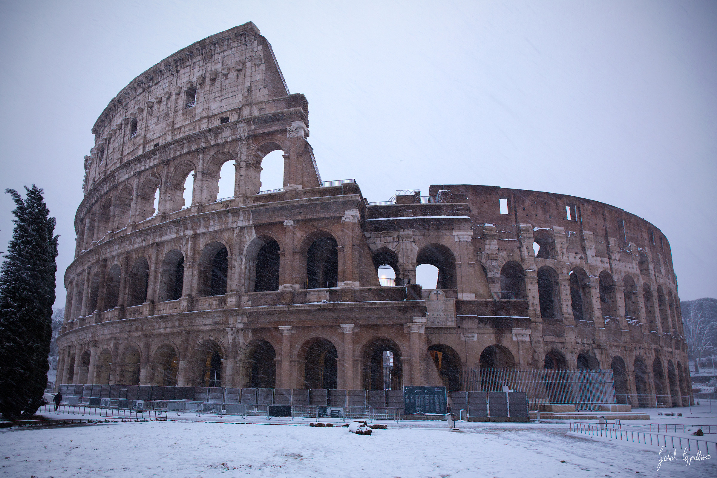 How many did you see?