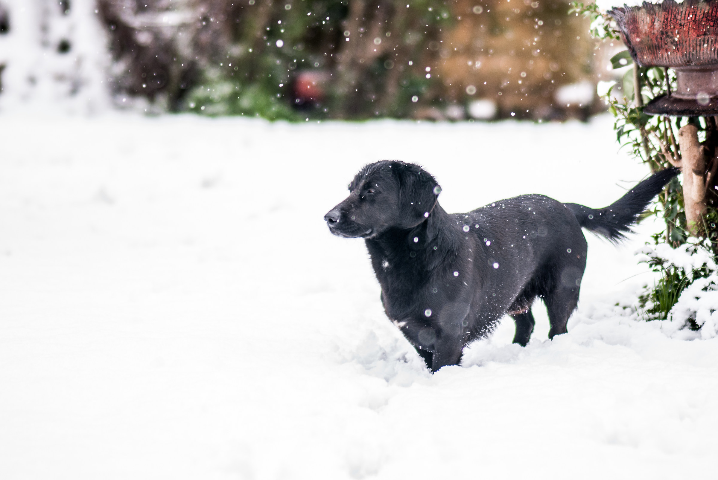 Snow for the first time