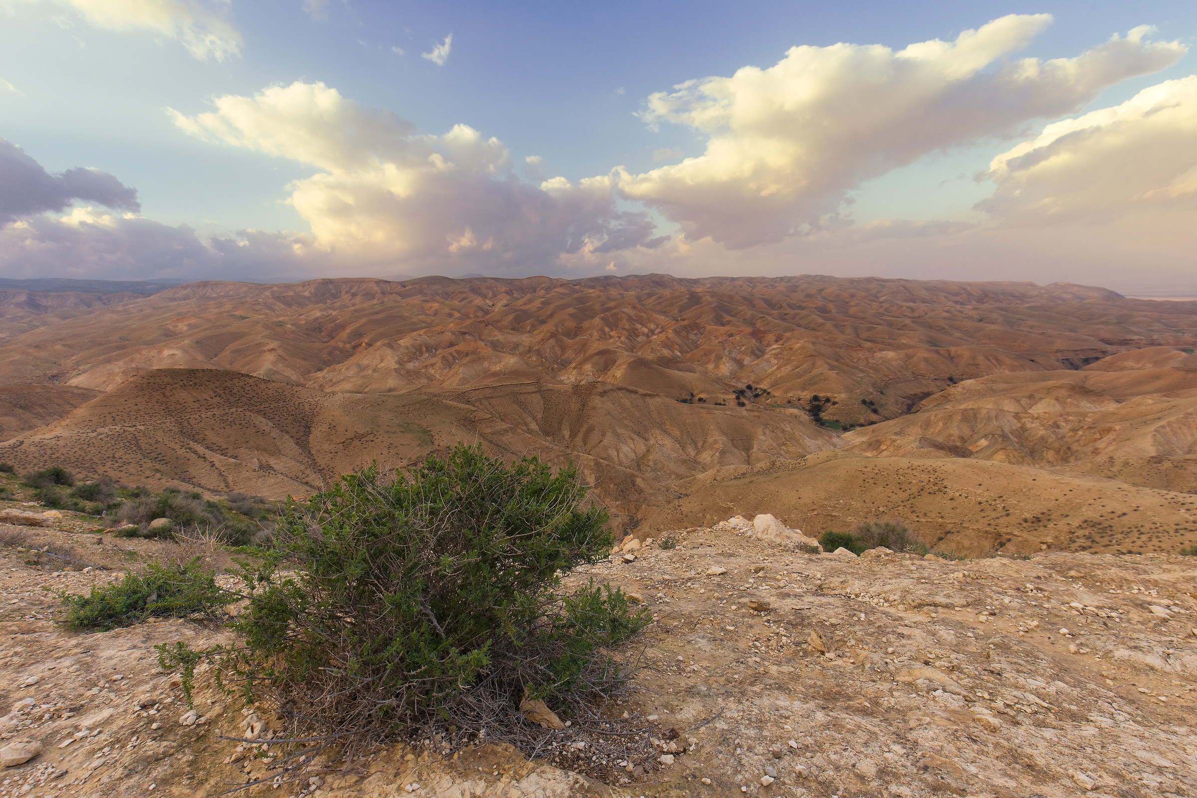 Desert of Judah