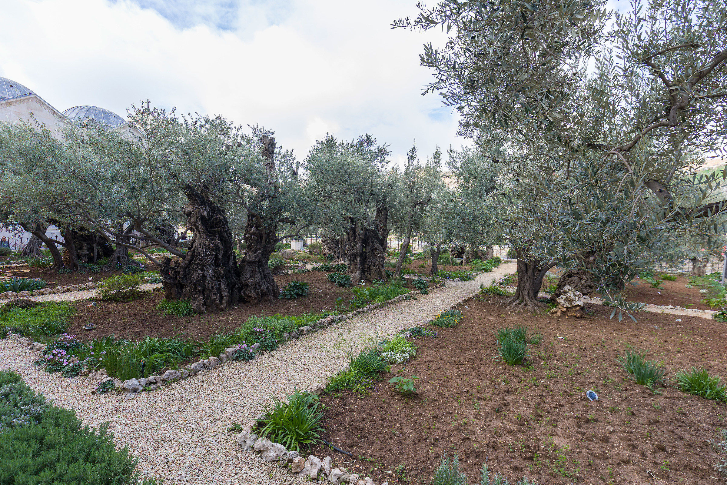 Gethsemane