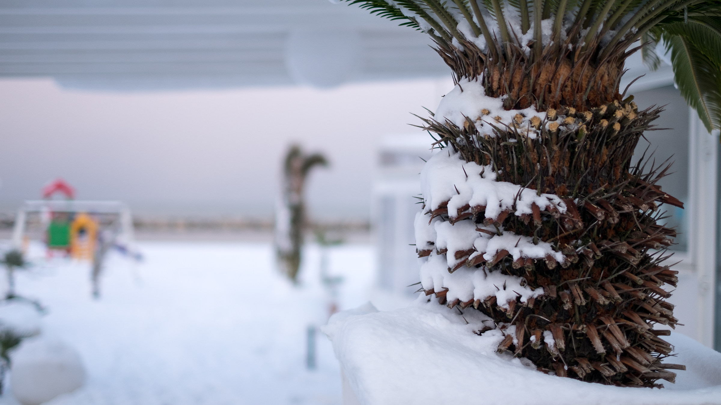 Waiting for warm days