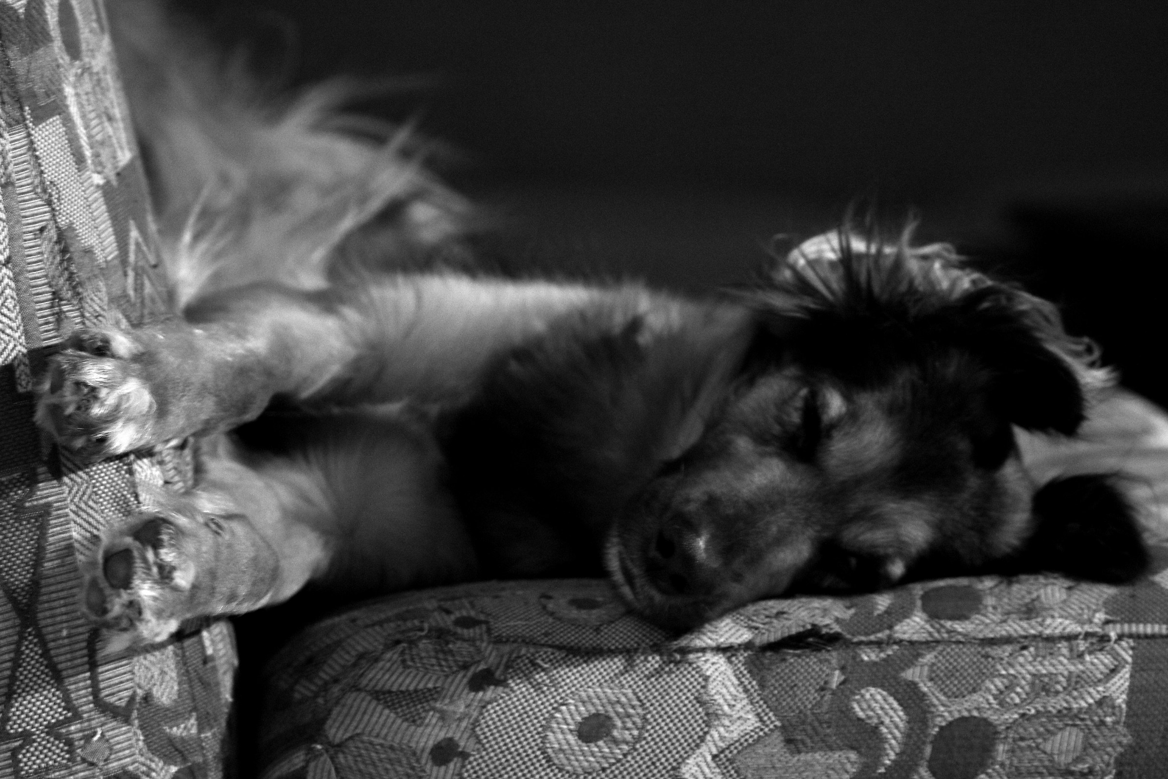 Il divano è tutta un altra cosa